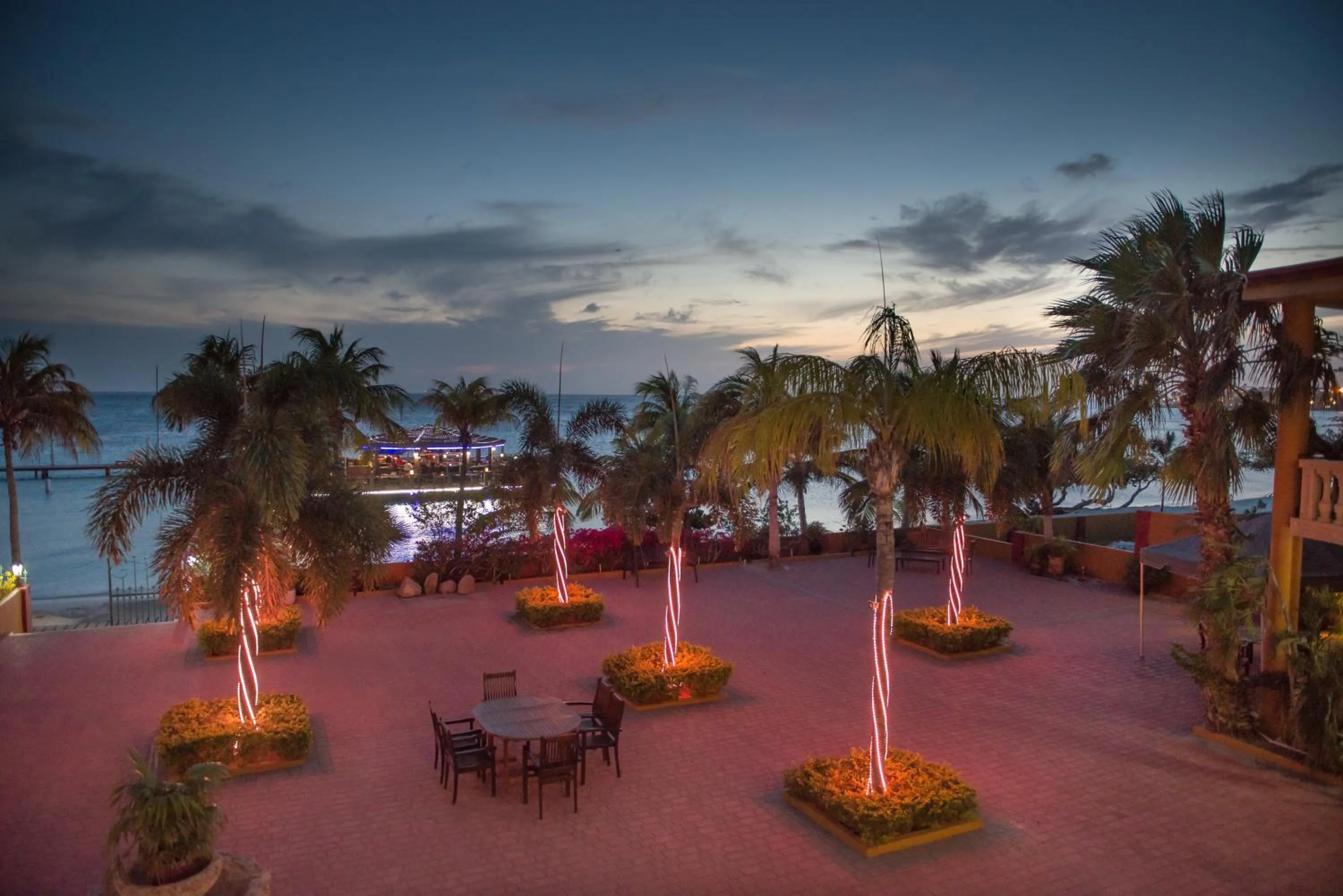 Garden in Aruba Surfside Marina