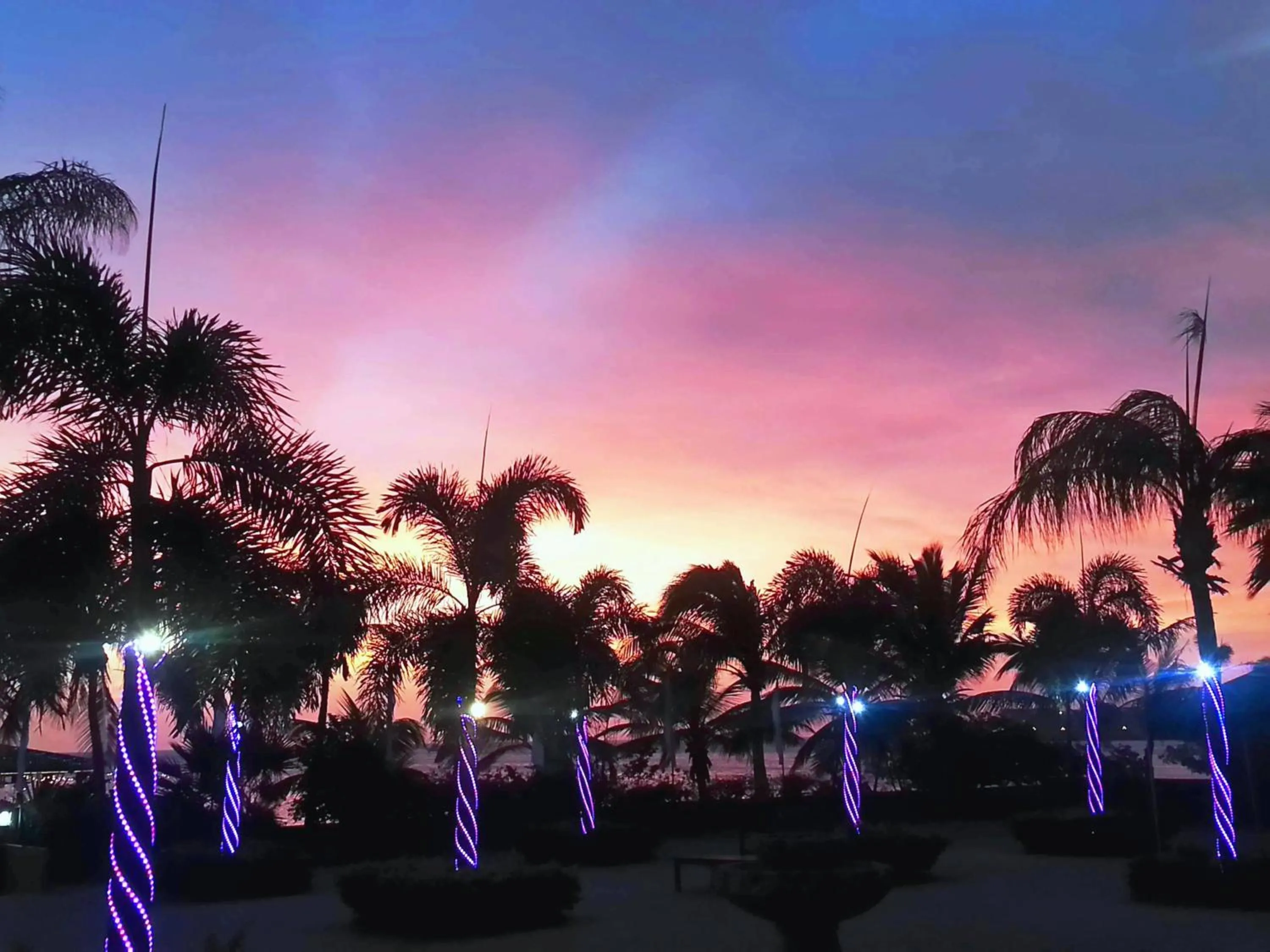 Garden in Aruba Surfside Marina
