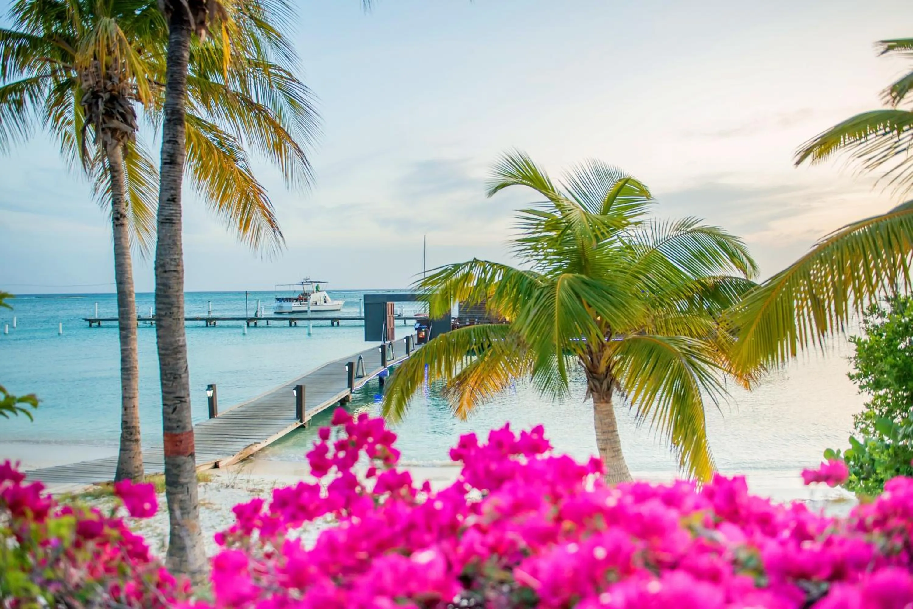 Beach in Aruba Surfside Marina