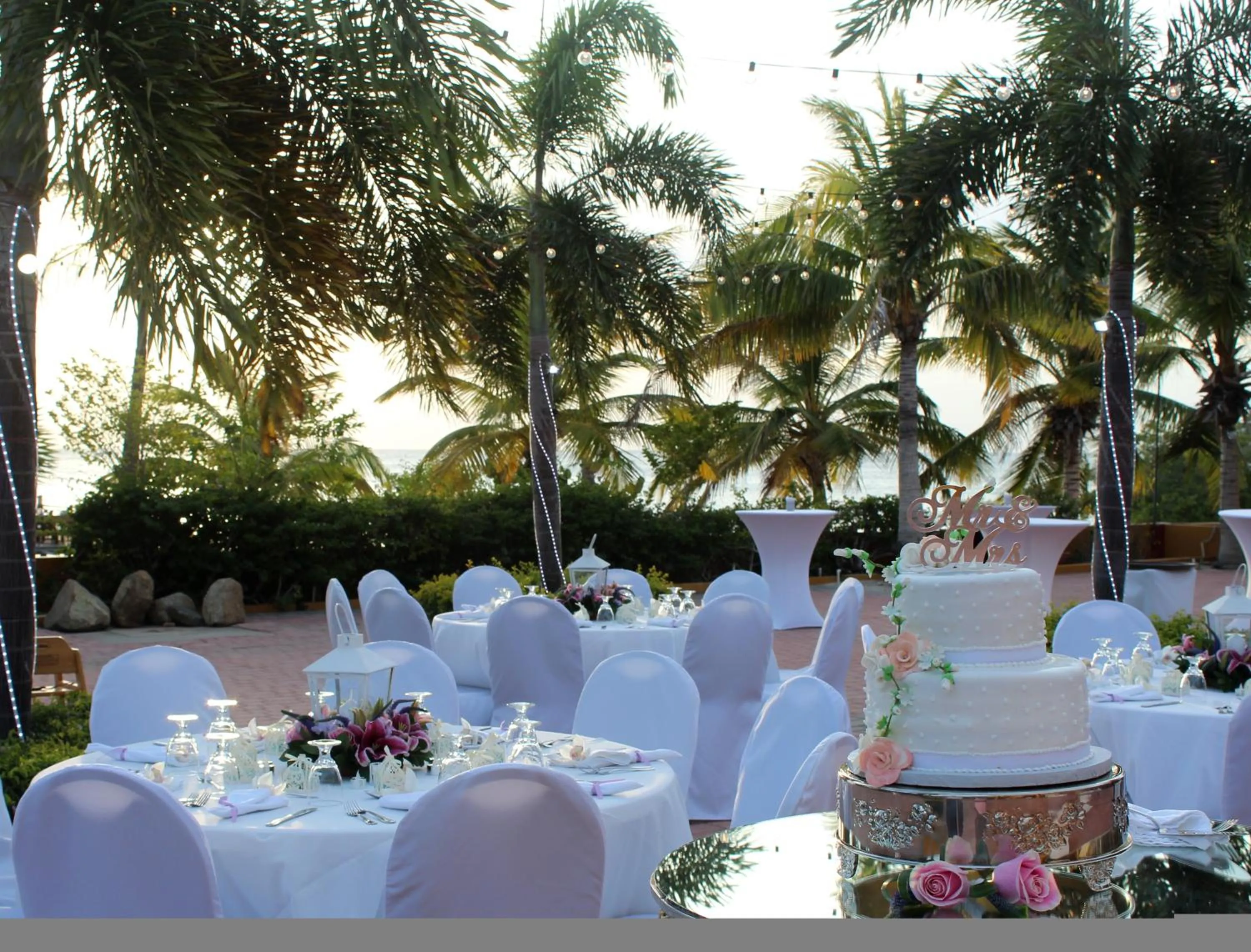 Garden in Aruba Surfside Marina