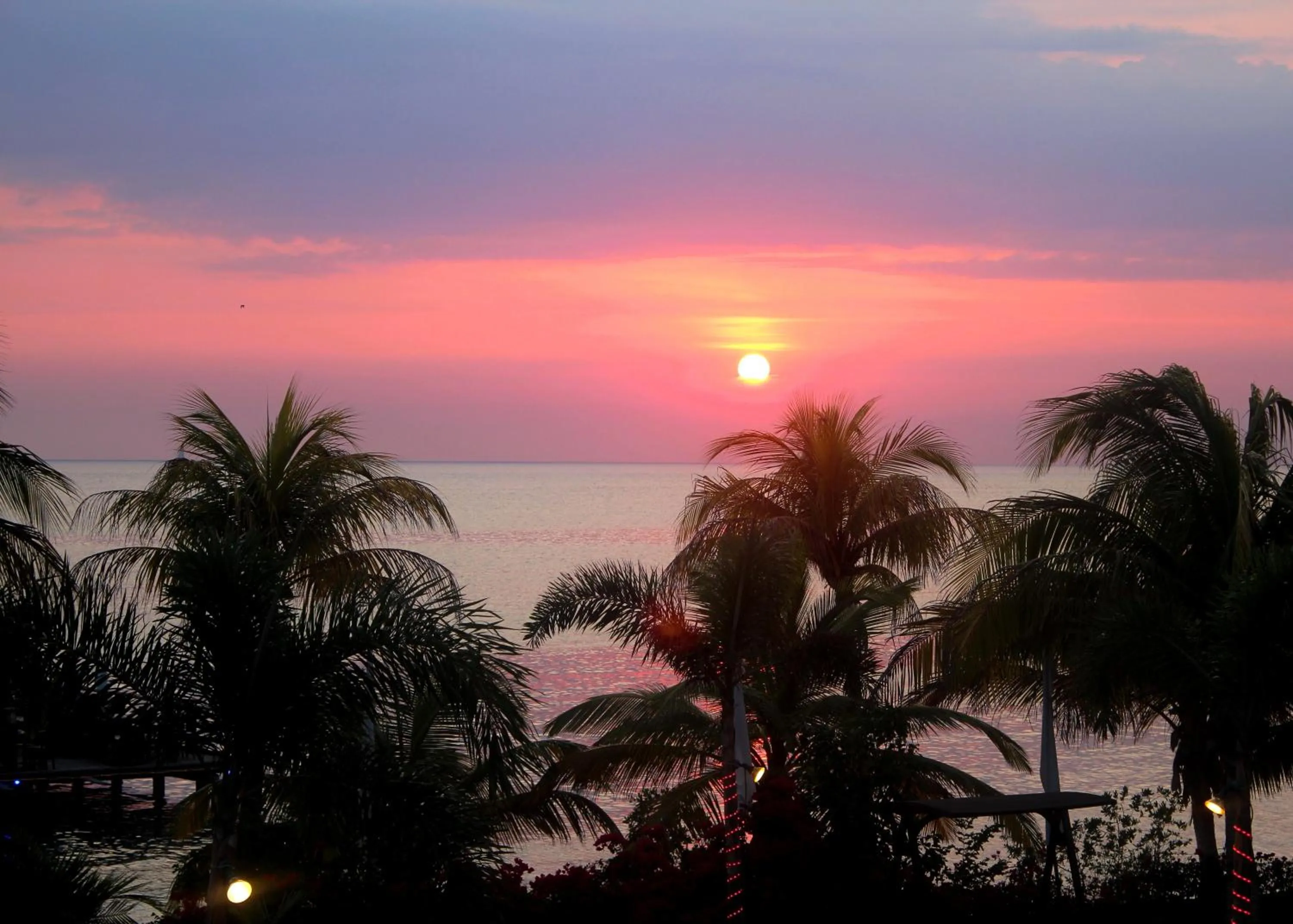Garden in Aruba Surfside Marina