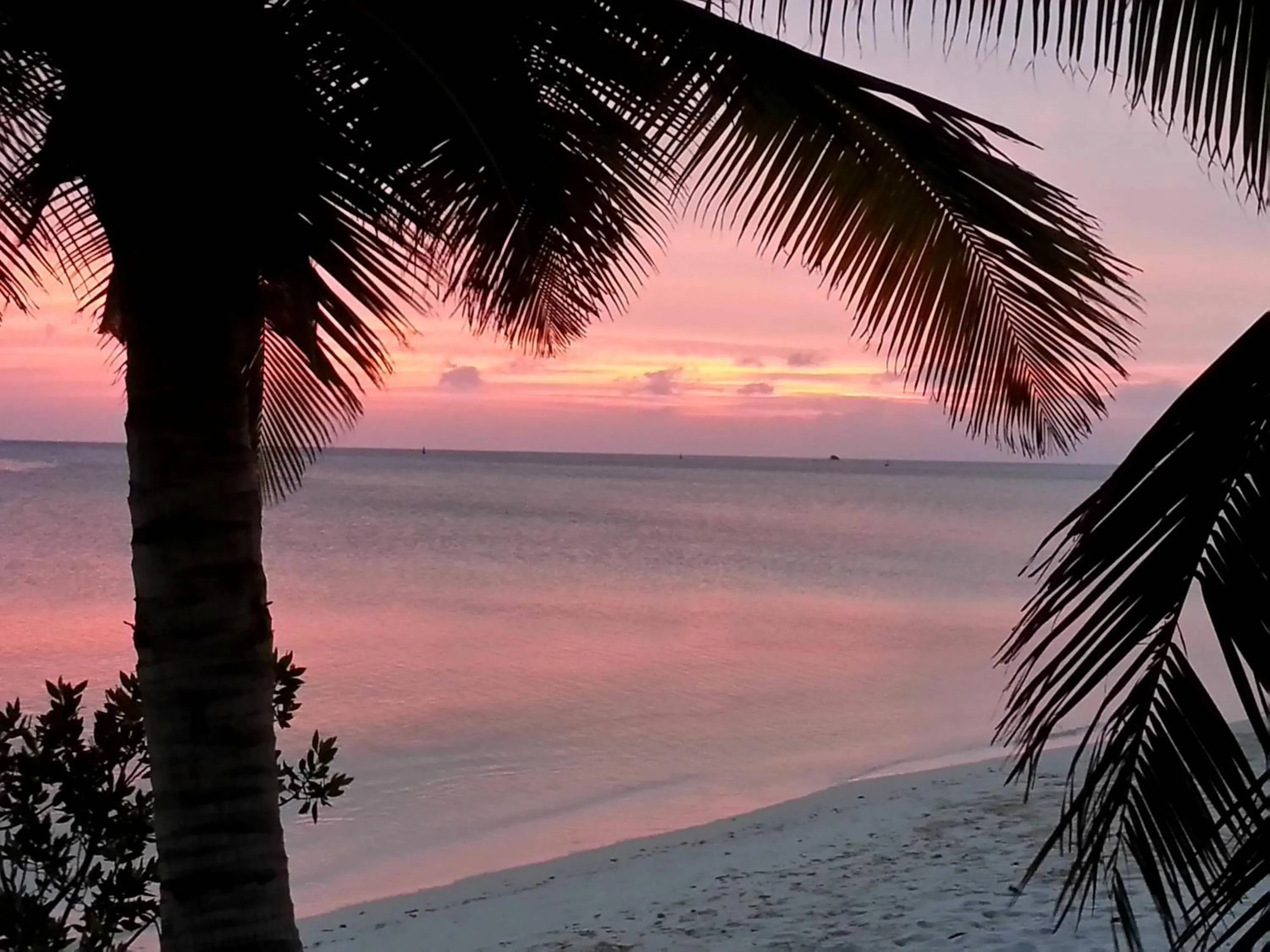 Beach in Aruba Surfside Marina