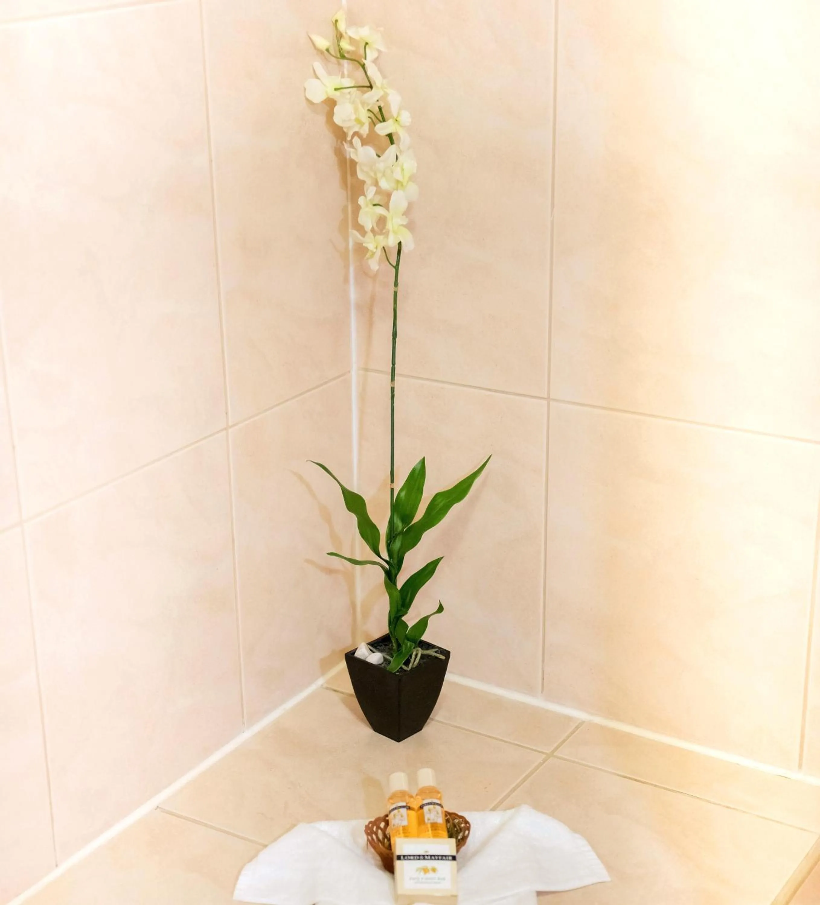 Bathroom in Aruba Surfside Marina