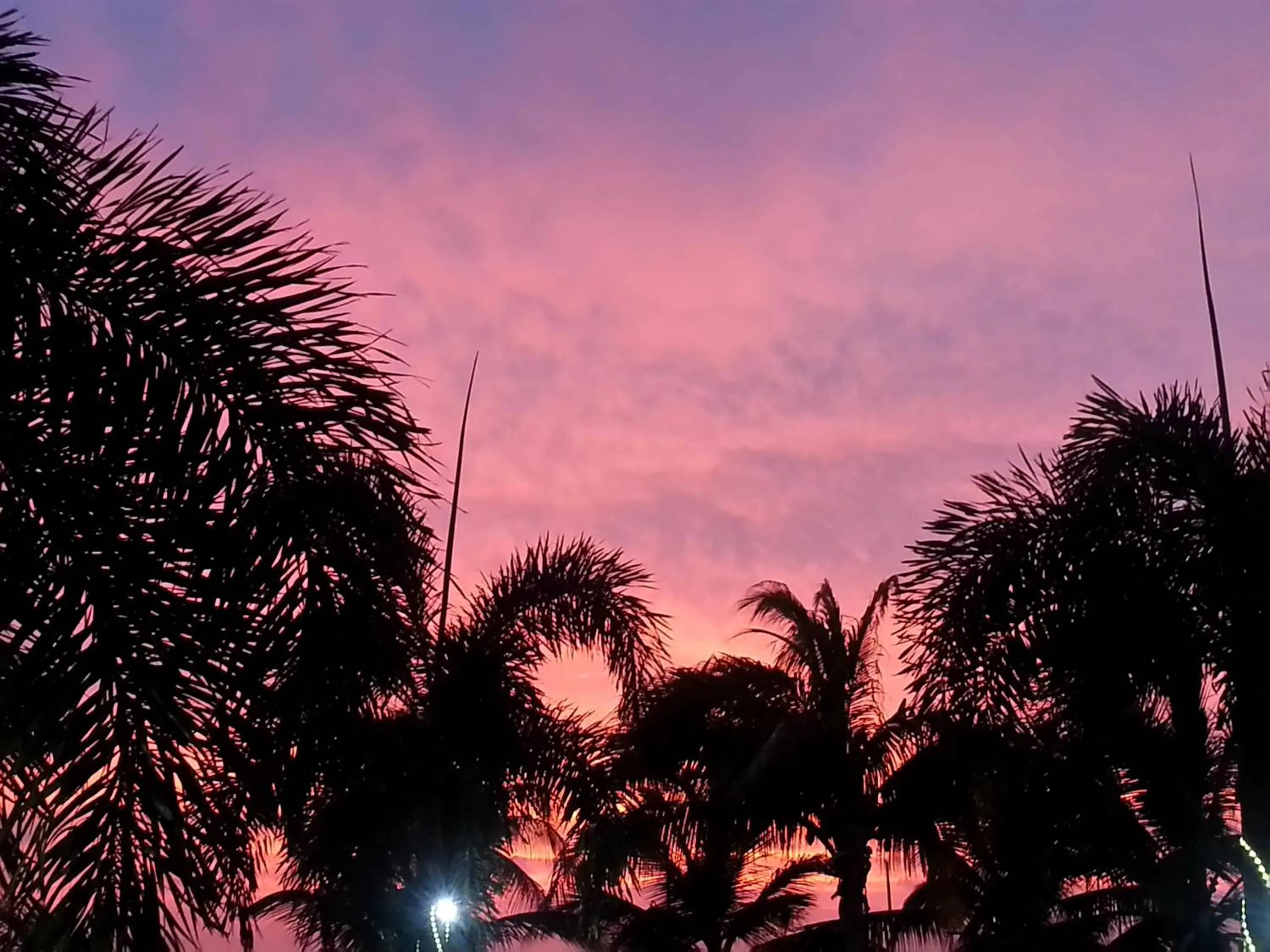 Garden in Aruba Surfside Marina