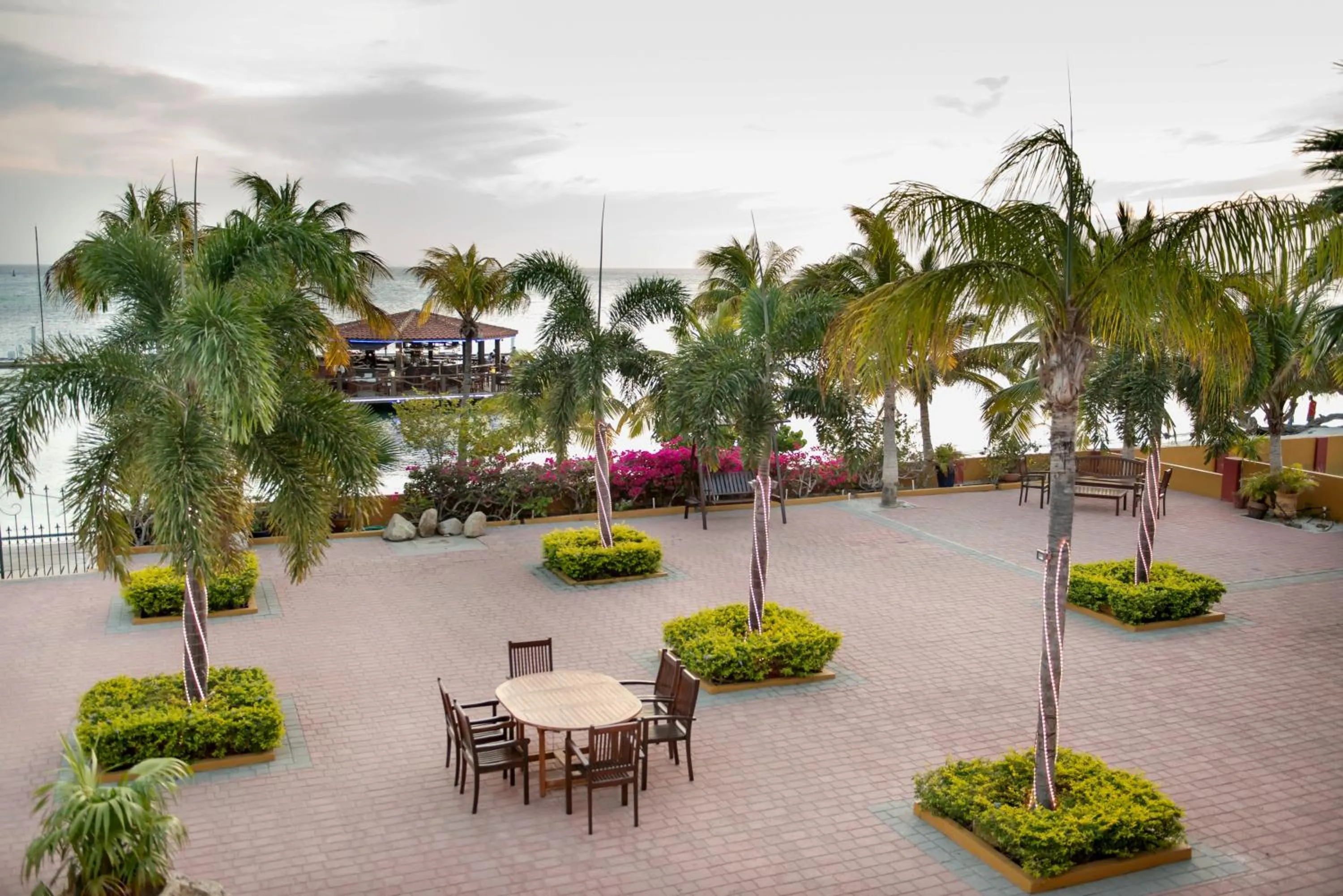 Garden in Aruba Surfside Marina