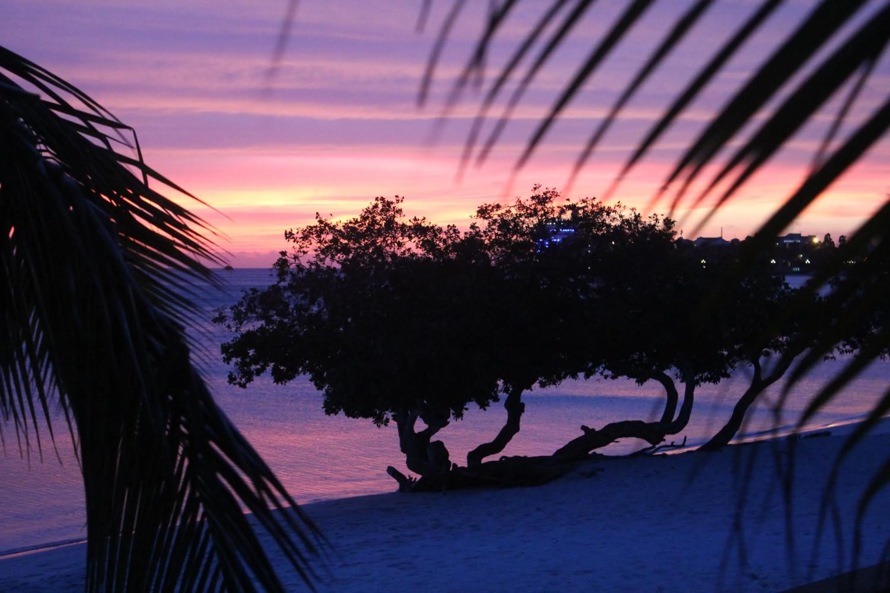 Beach in Aruba Surfside Marina