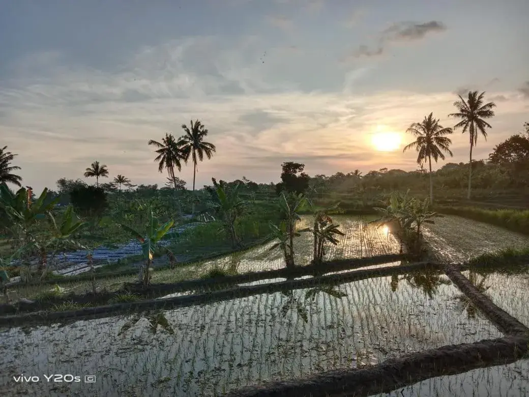 Villa with Private Pool in Villa Mak Cik Villa with Private Pool in Villa Mak Cik