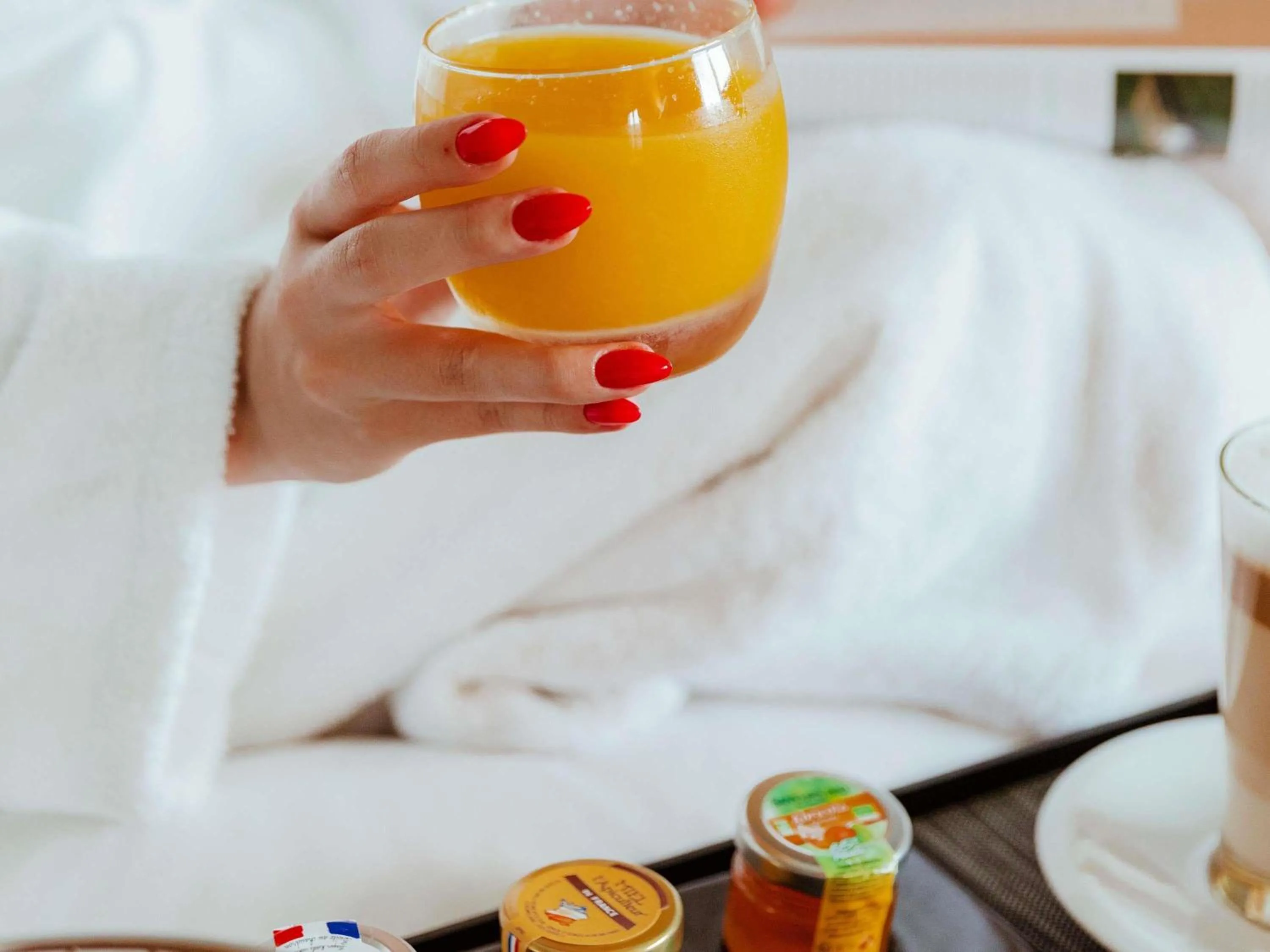 Breakfast in Pullman Toulouse