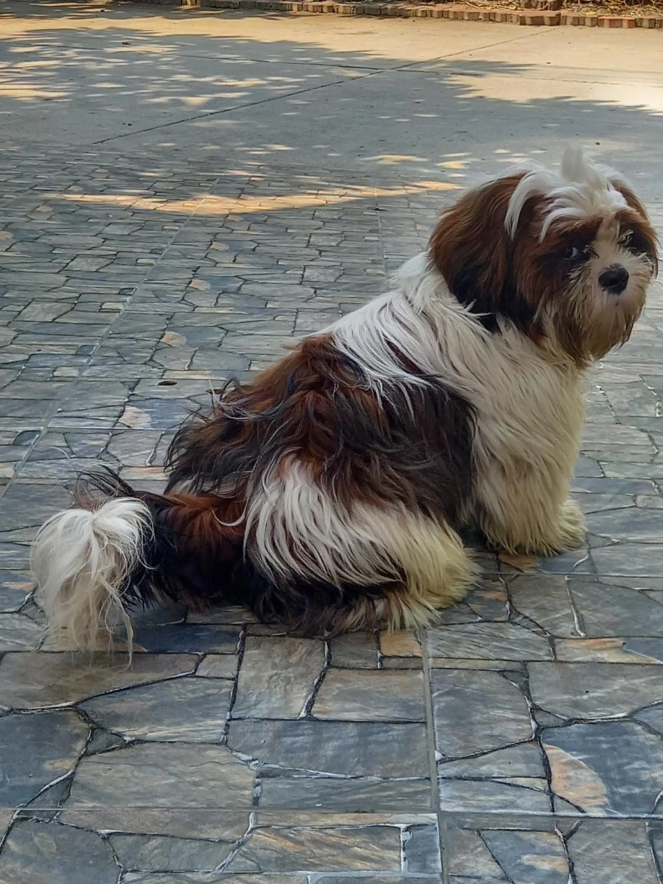 Vanlisut Hotel Ngamwongwan