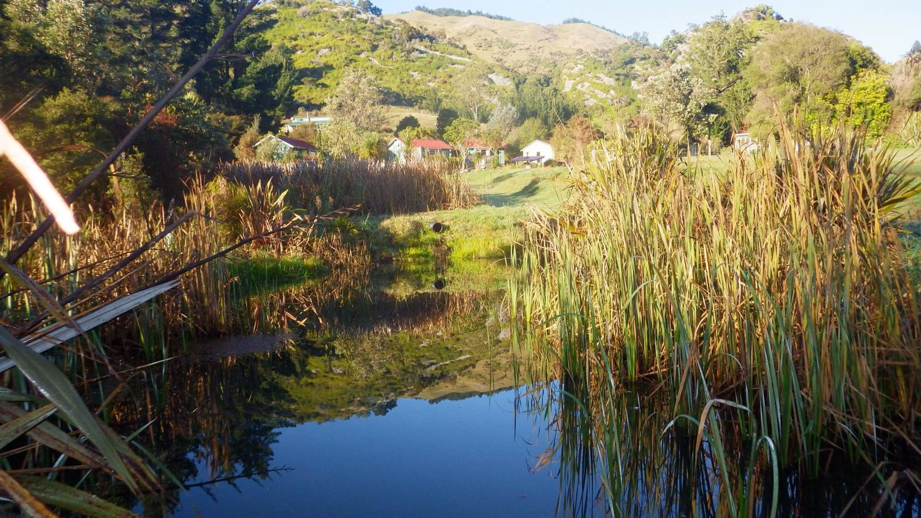 Garden view in The Sandcastle
