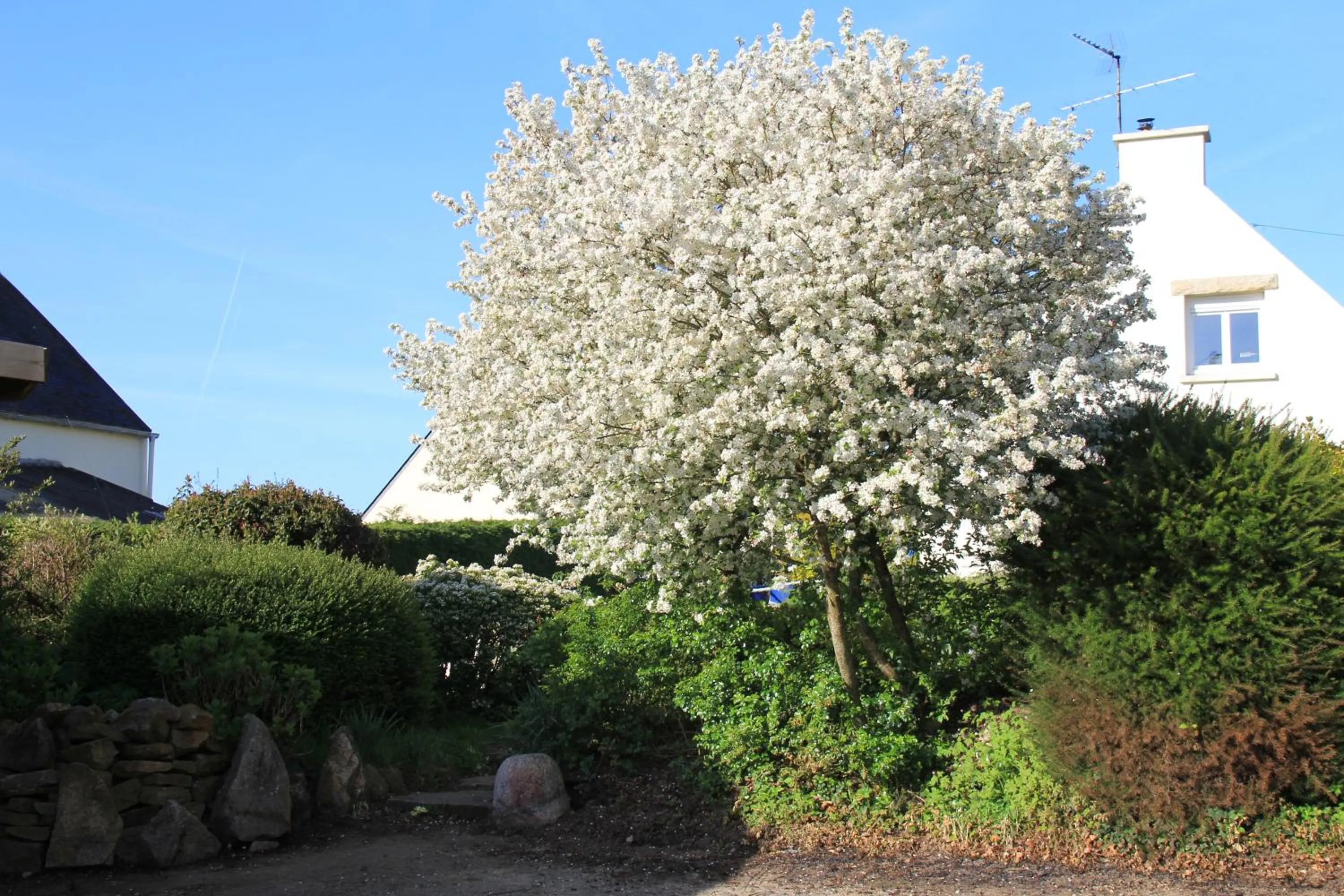 Property building in Chambres d'hôtes de Pont C'Hoat