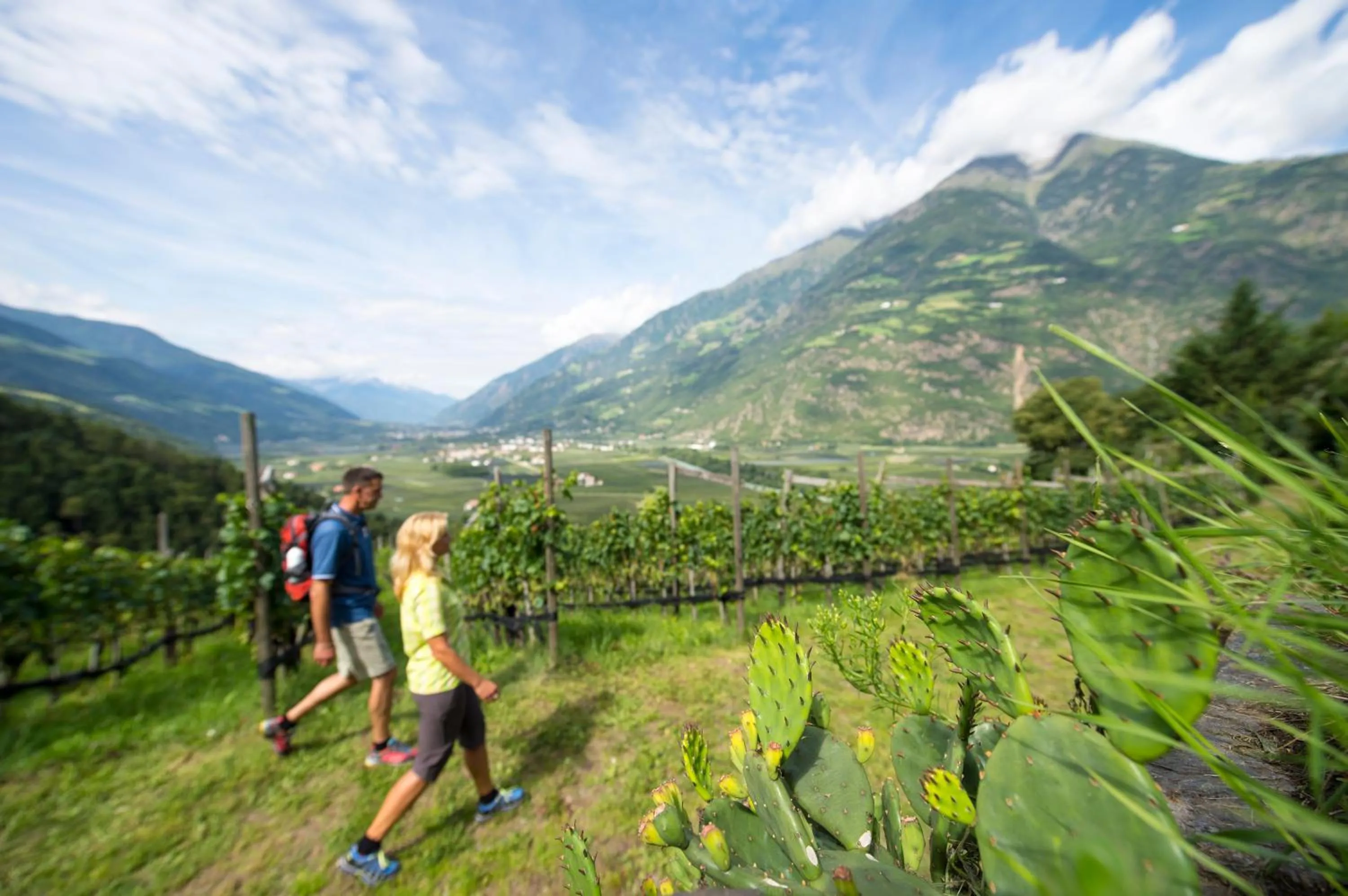 Hiking in Genusshotel Diamant