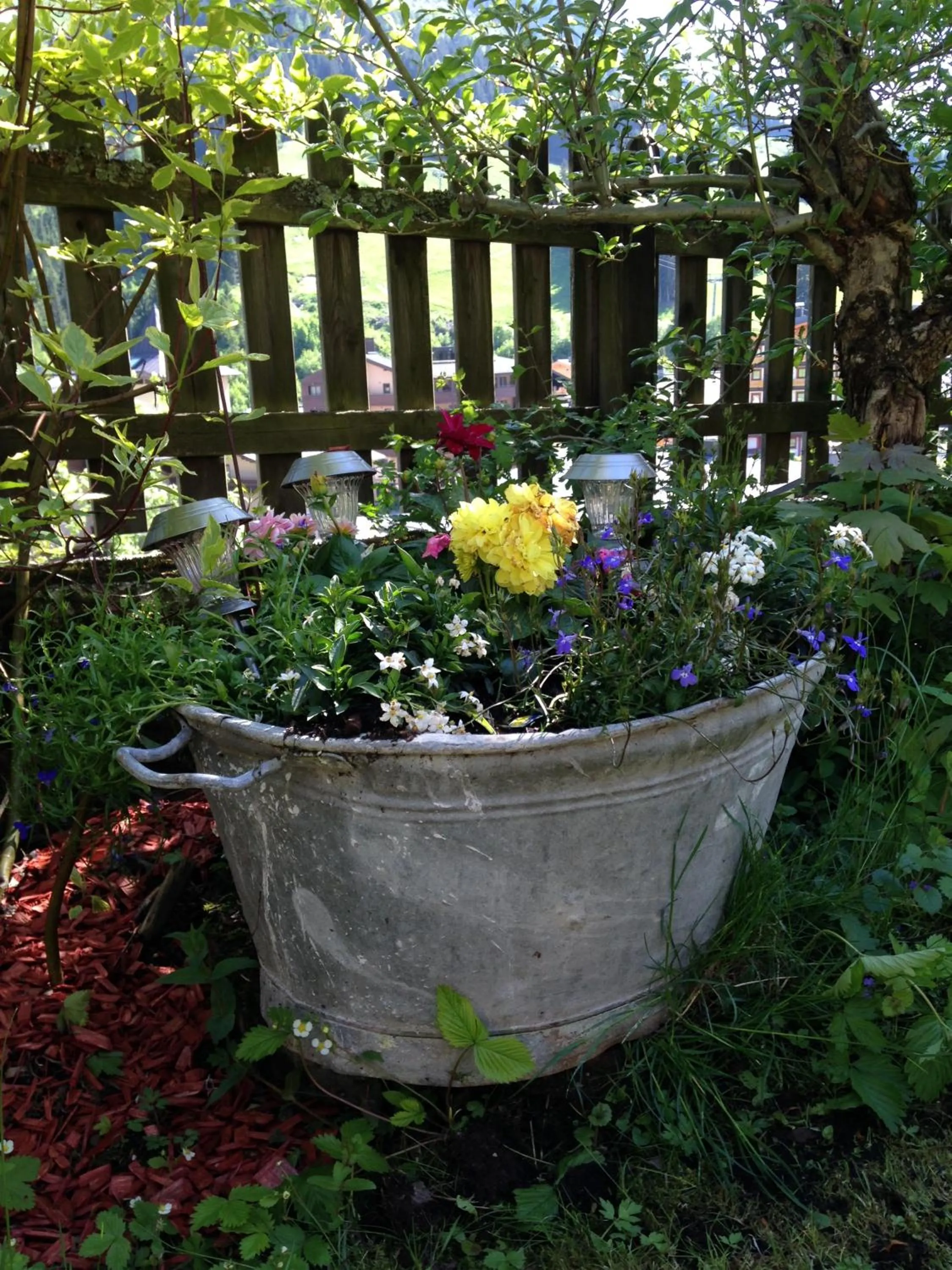 Garden in Haus Willibald