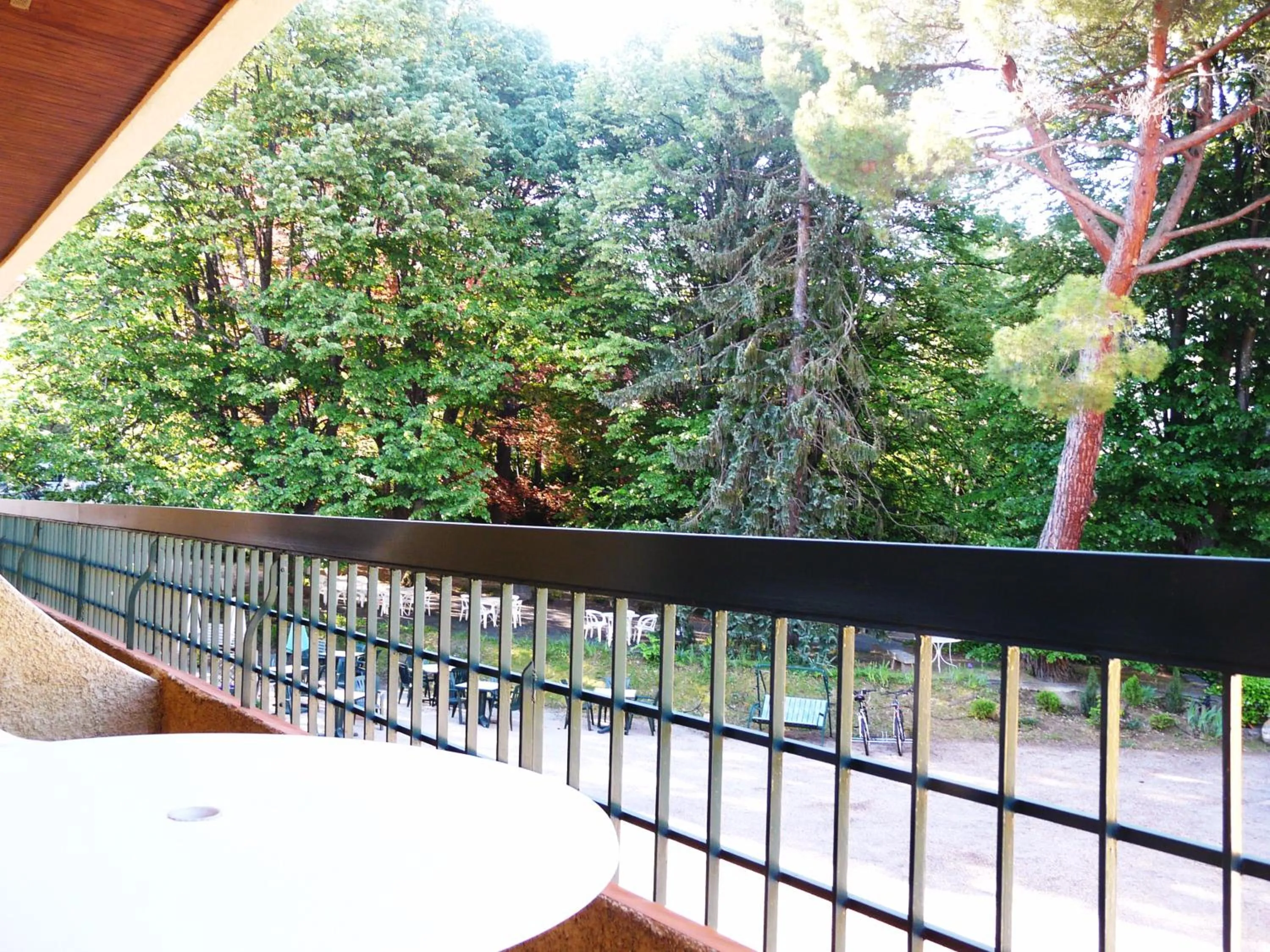 Balcony/Terrace in Hotel Le Mas Fleuri