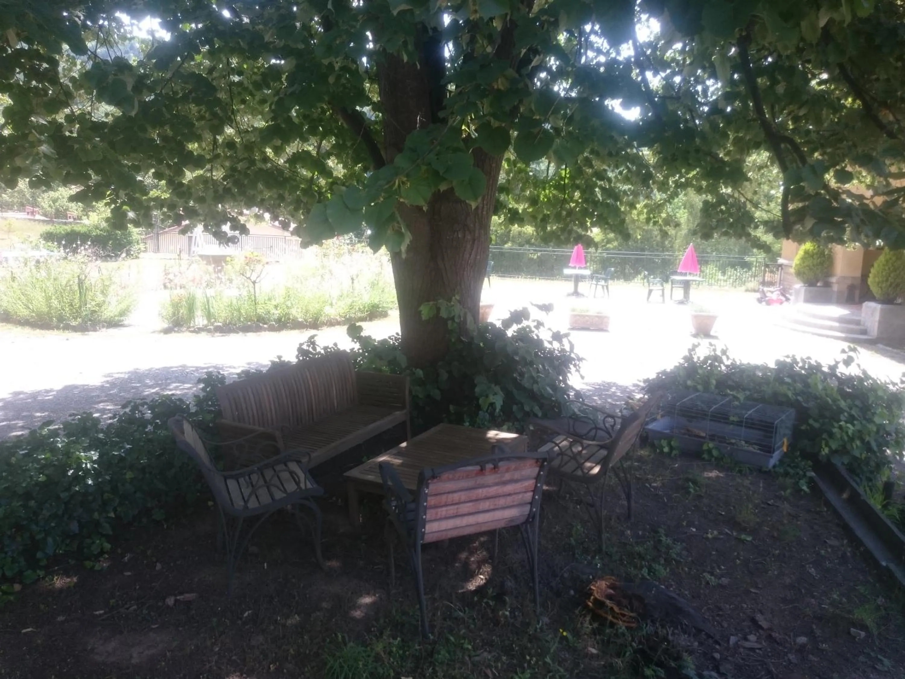 Garden in Hotel Le Mas Fleuri