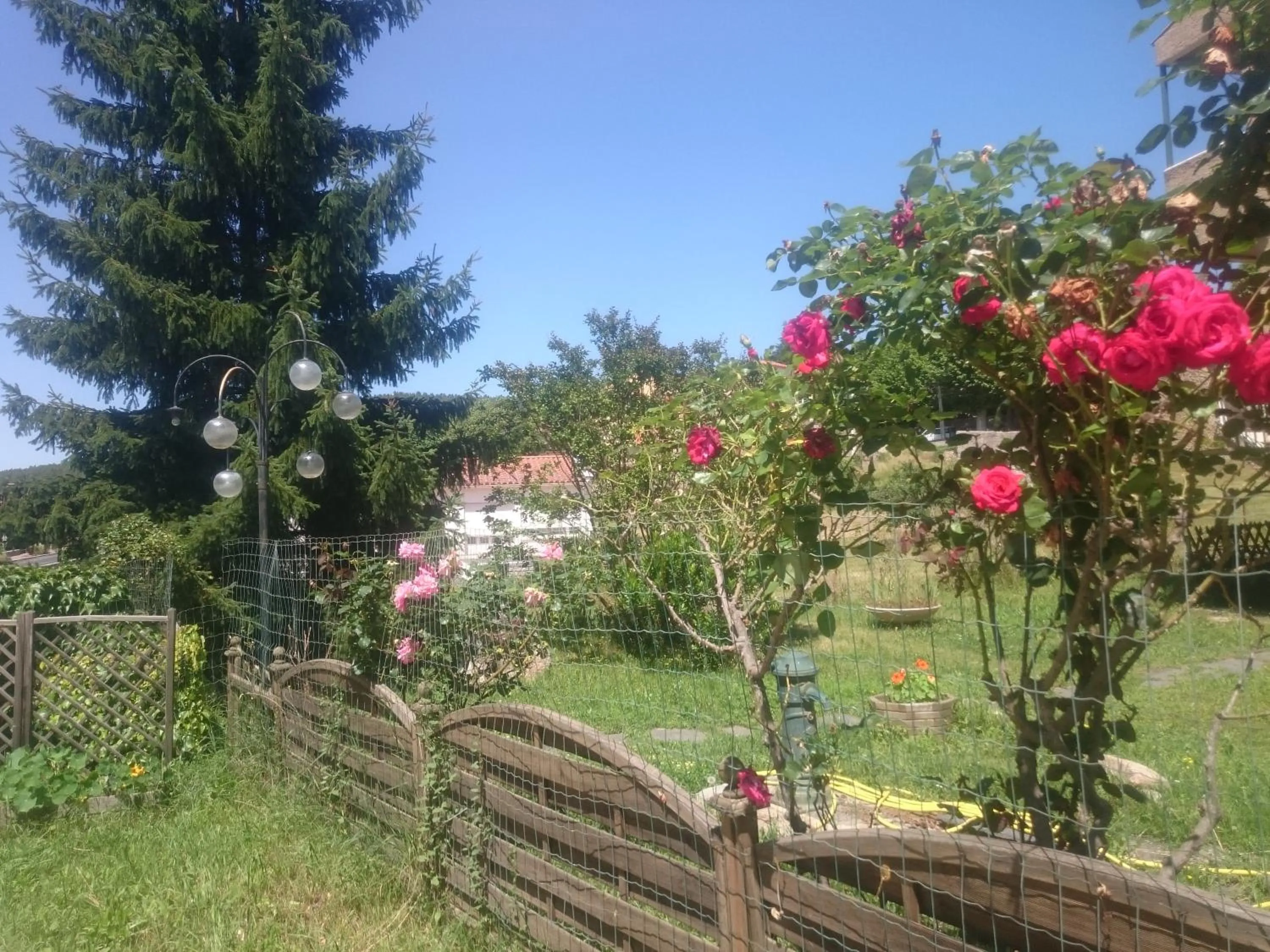 Garden in Hotel Le Mas Fleuri