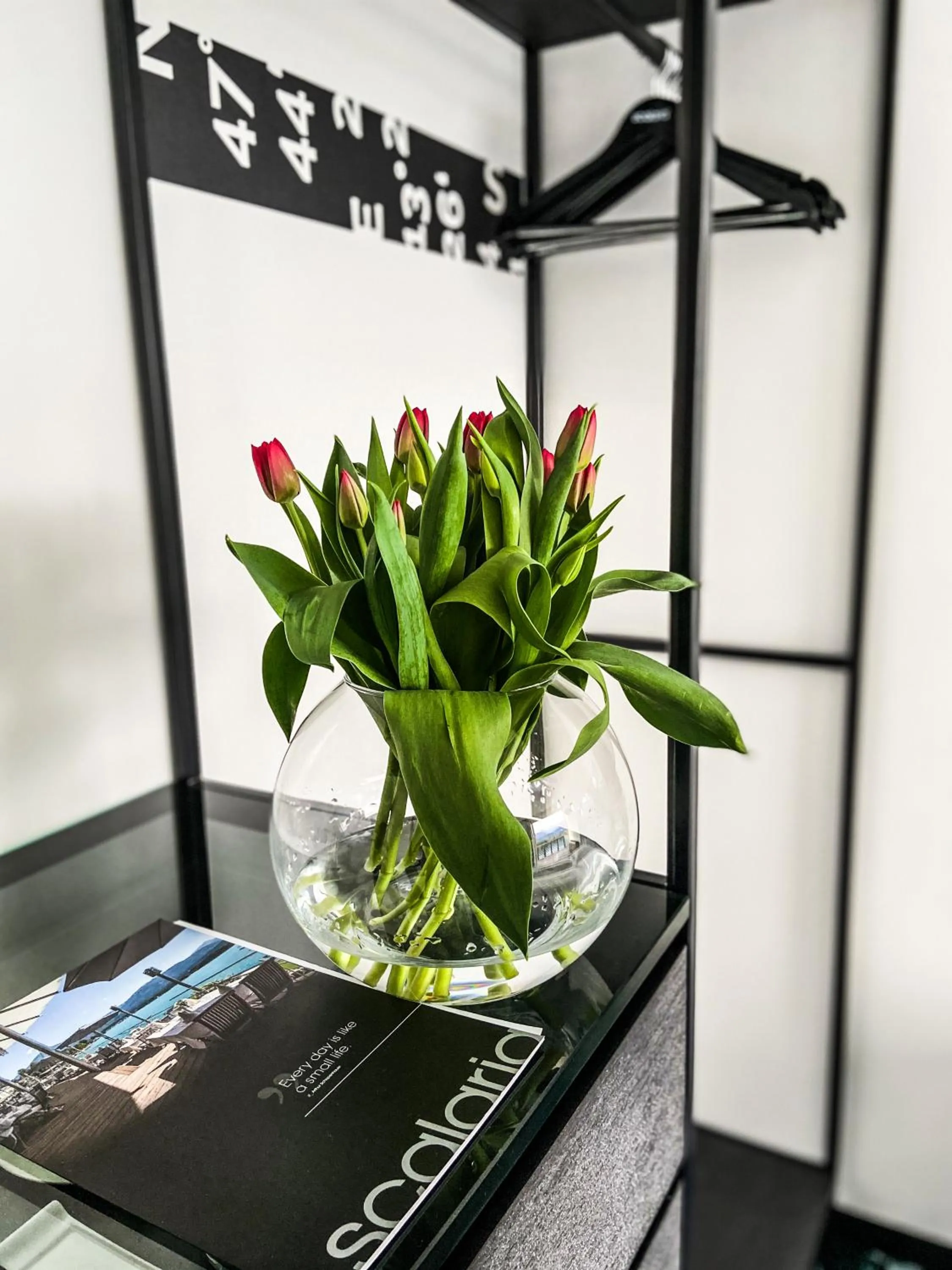 Other in Scalaria Sunset Wing