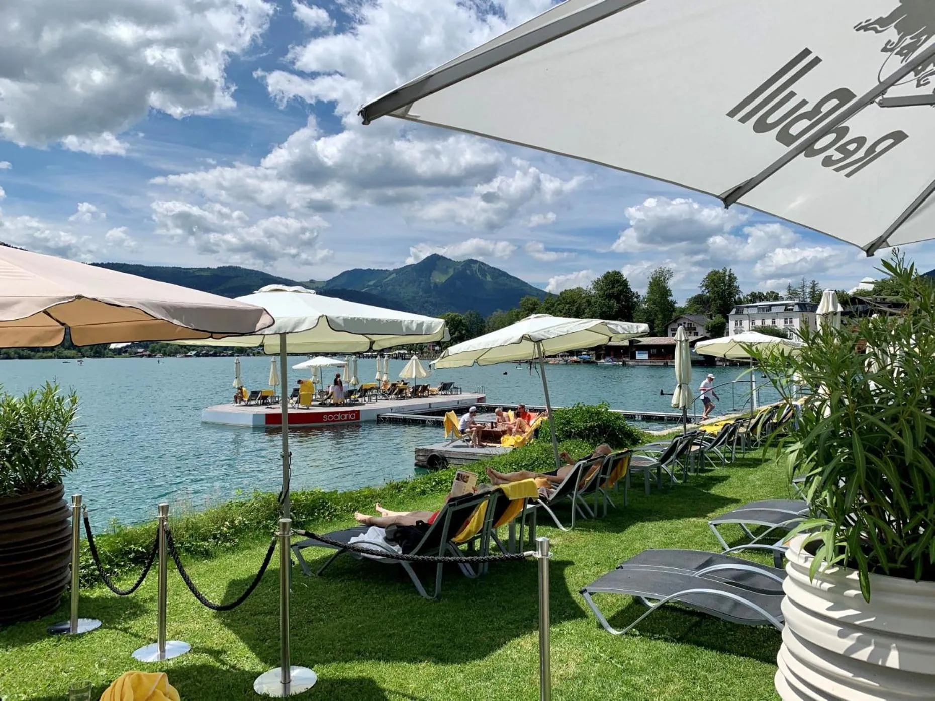 Garden in Scalaria Sunset Wing