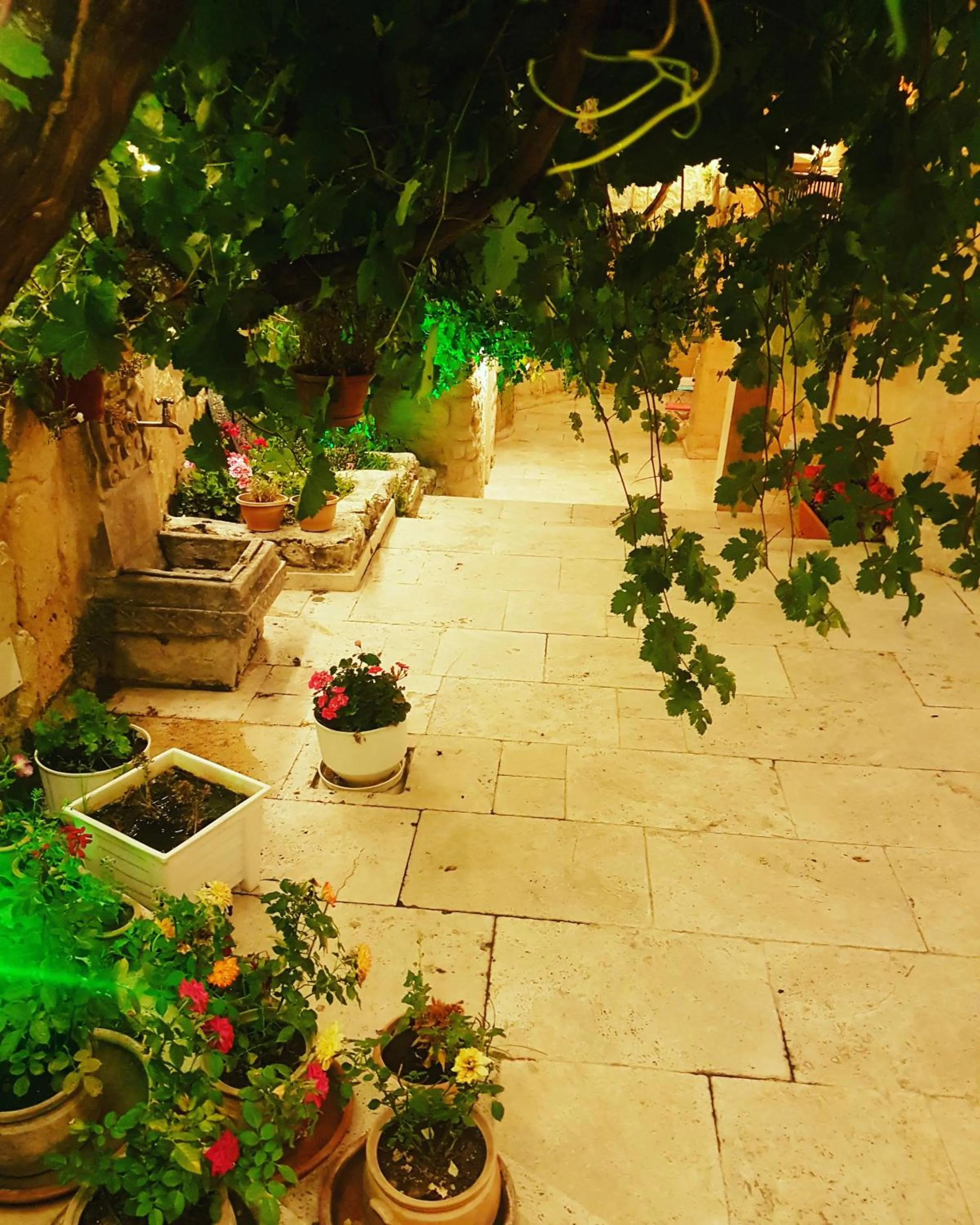 Garden view in Iris Cave Cappadocia