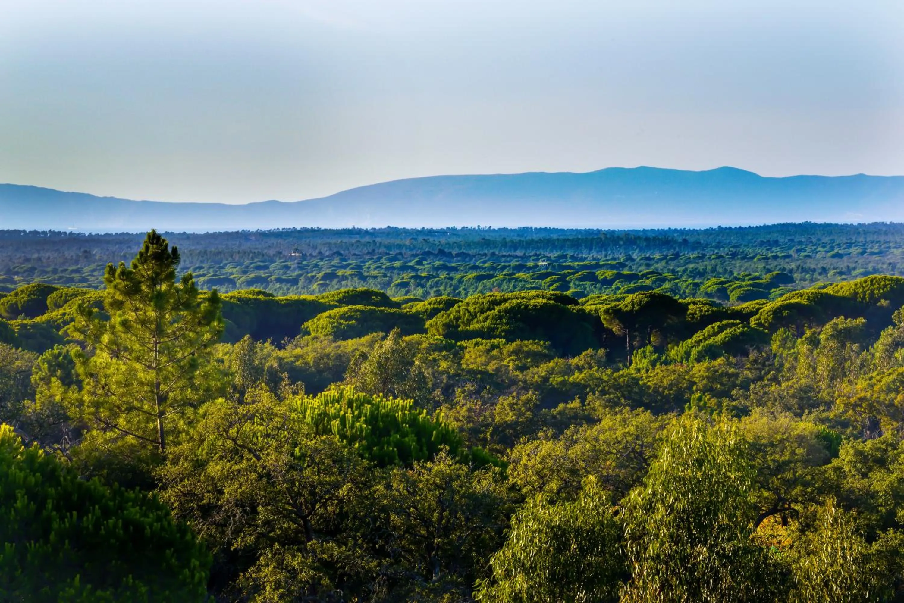 Natural landscape in A Serenada Enoturismo
