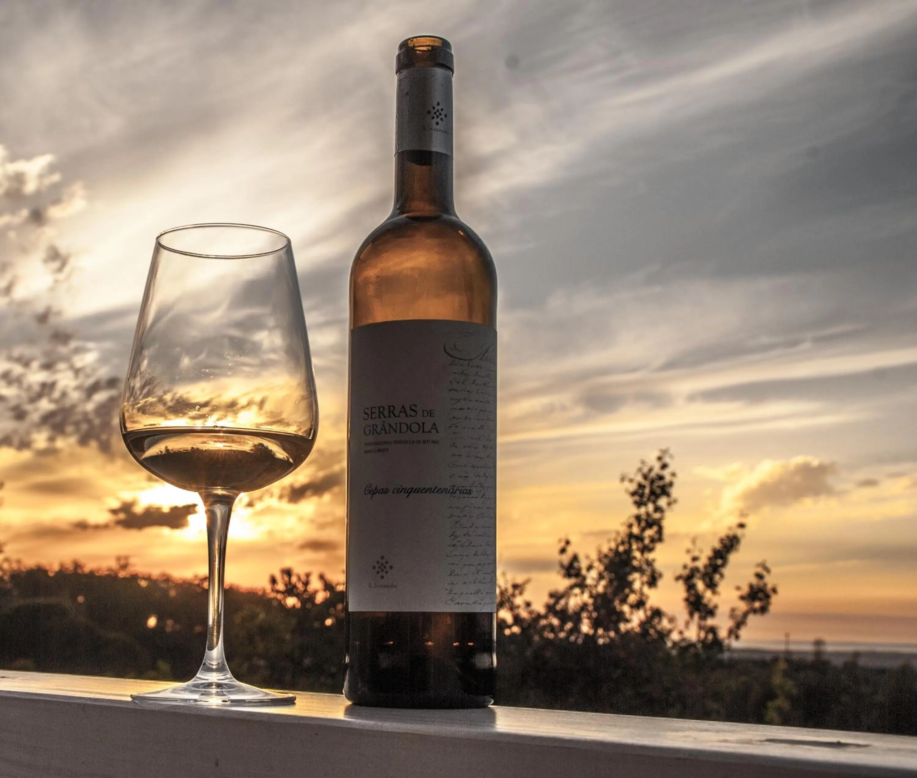 Photo of the whole room in A Serenada Enoturismo