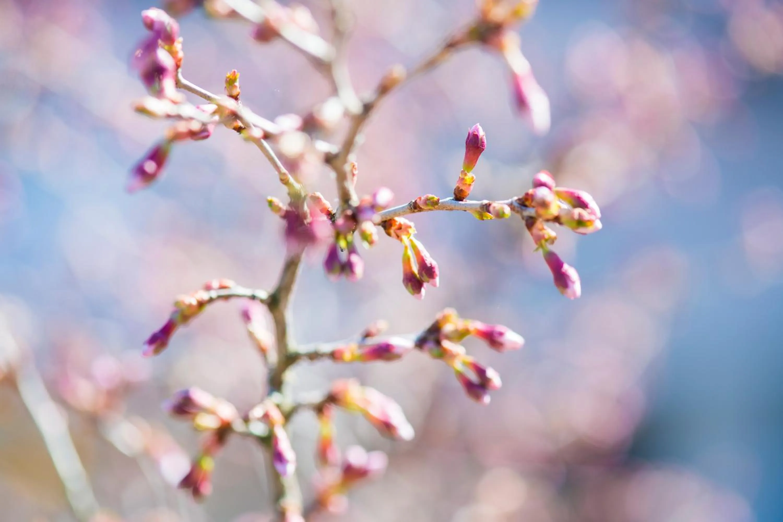 Spring in Oberwirt Weisses Kreuz