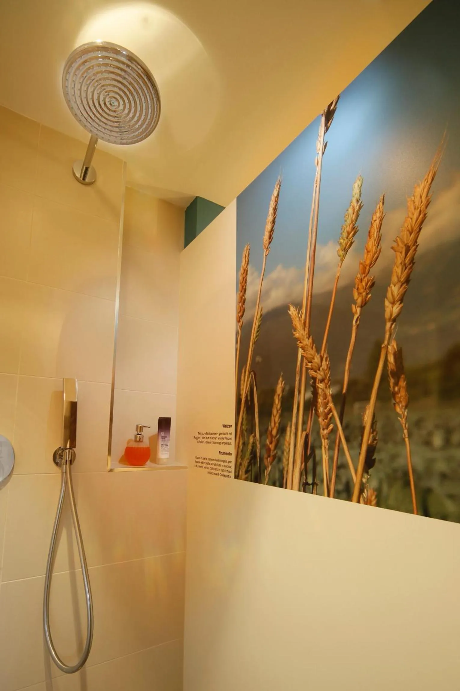 Shower in Oberwirt Weisses Kreuz