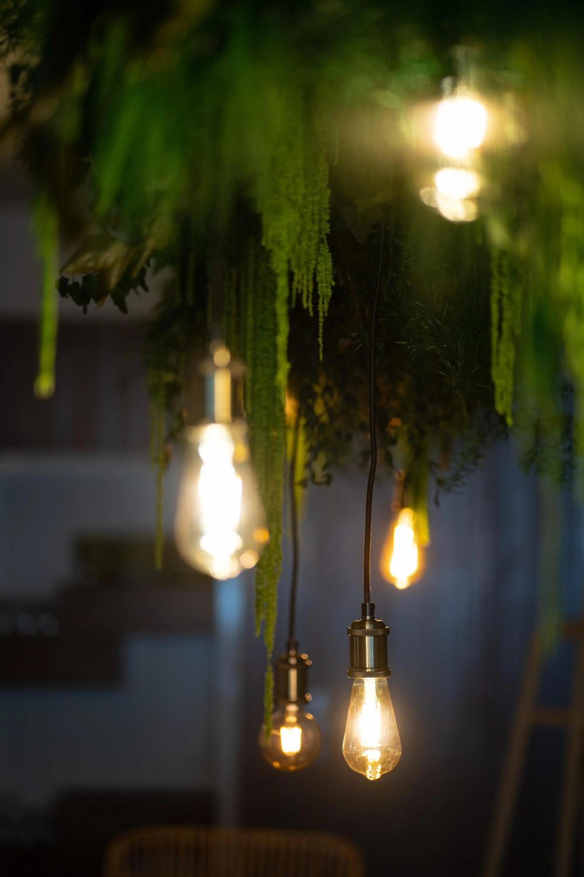 Decorative detail in Hob Fort du Pré