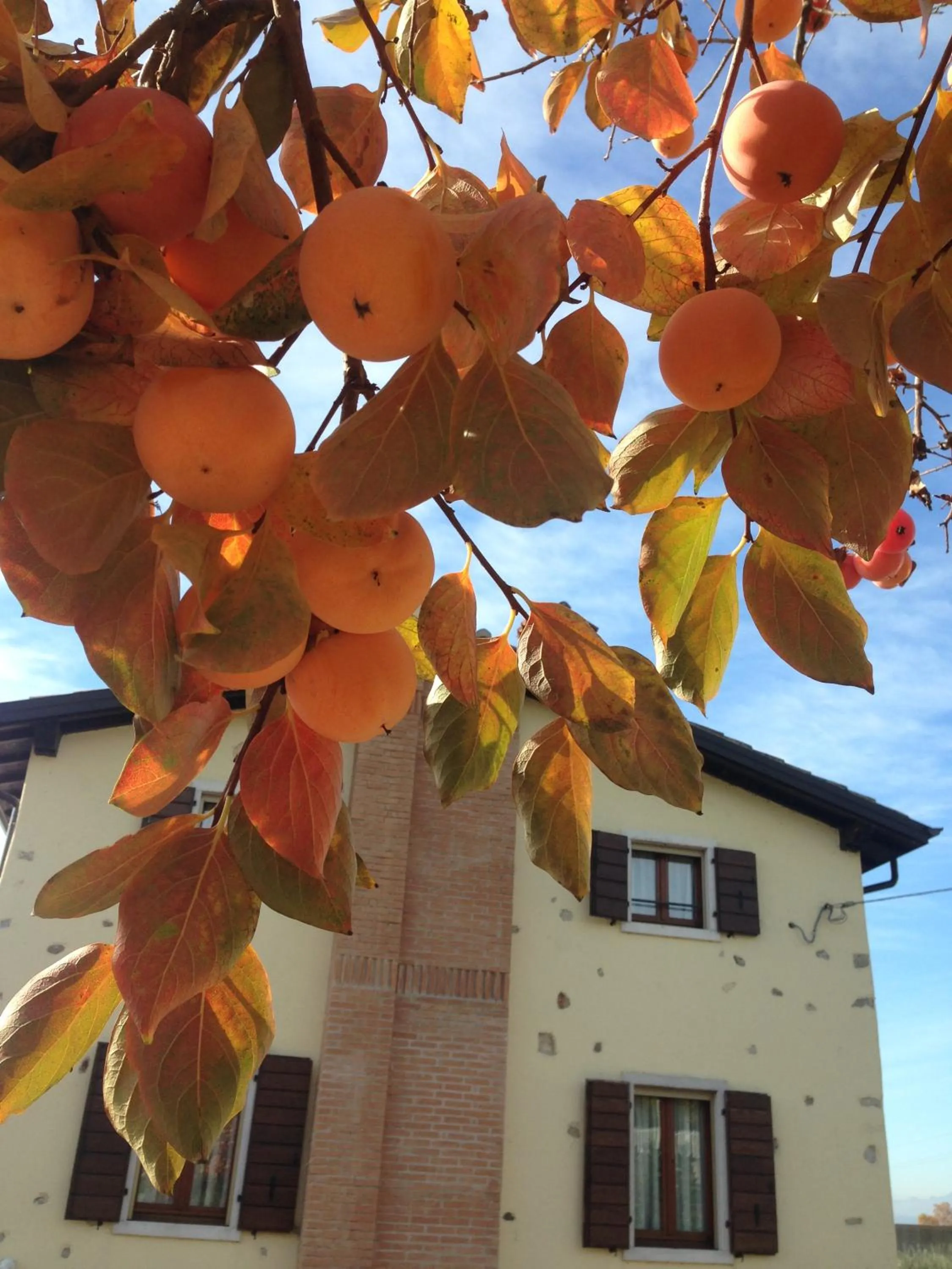 Other in Apartments Colombara Bardolino