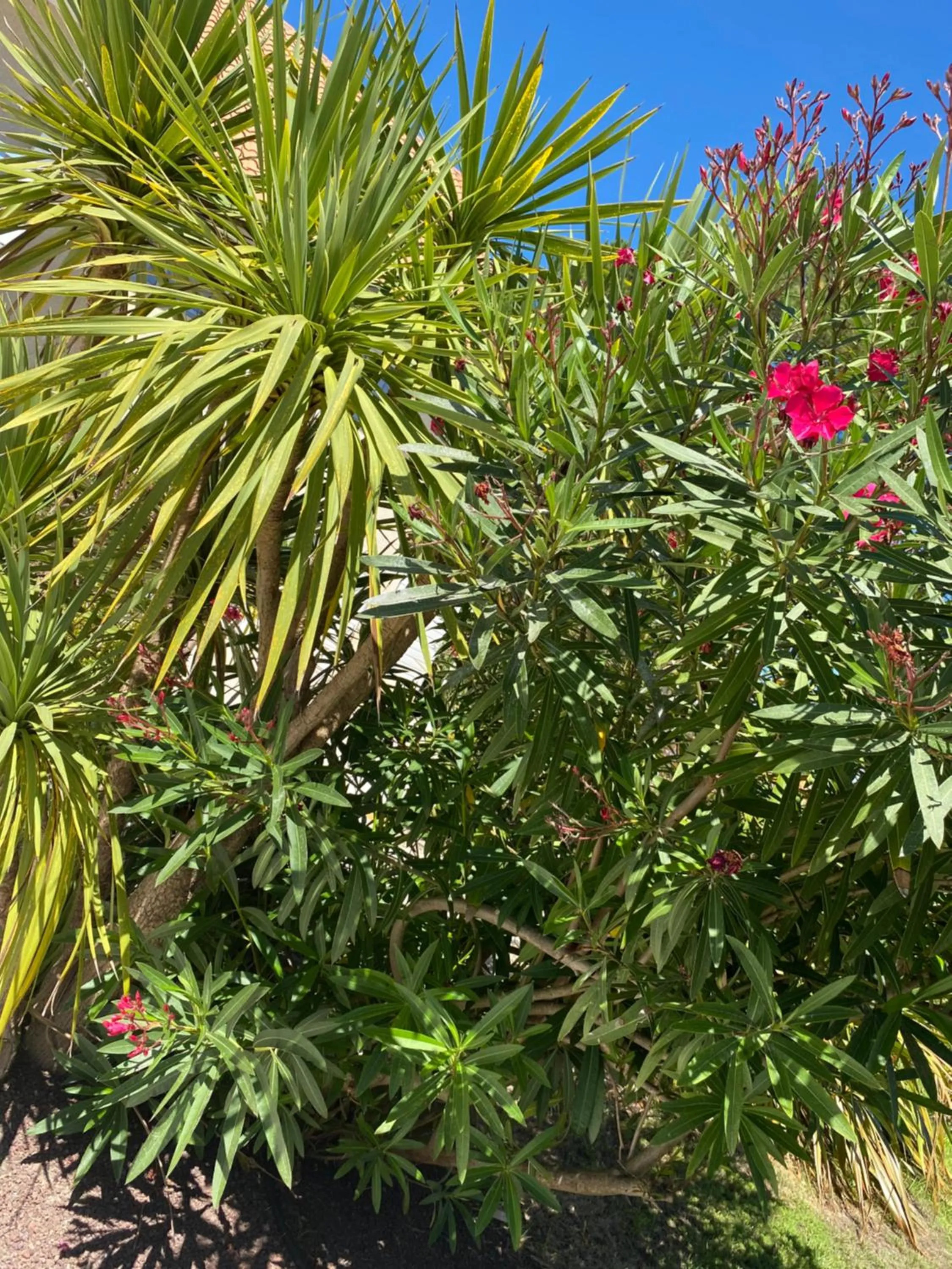 Property building in Les Vagues Hôtel Restaurant