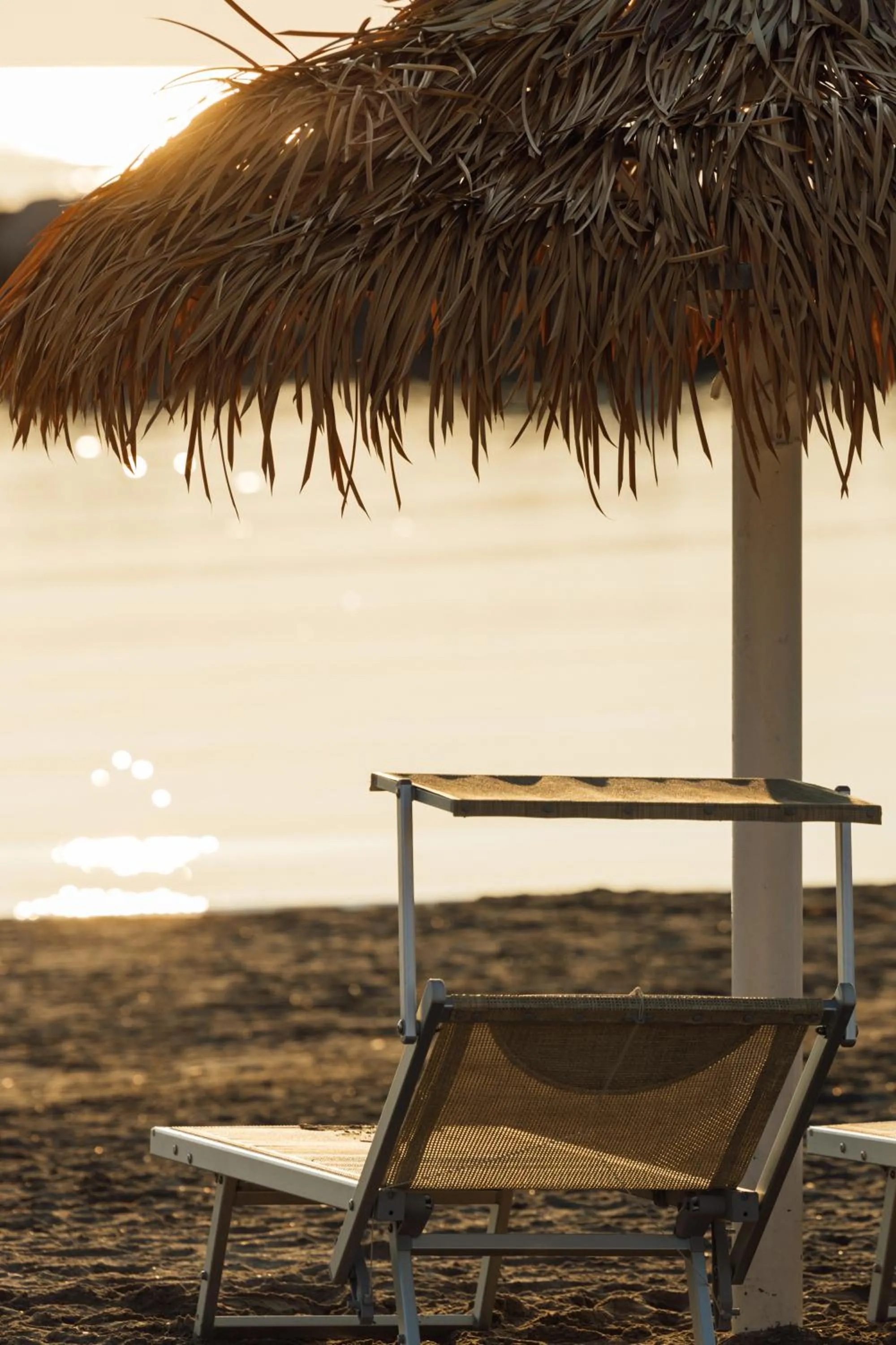 Beach in Baldinini Hotel