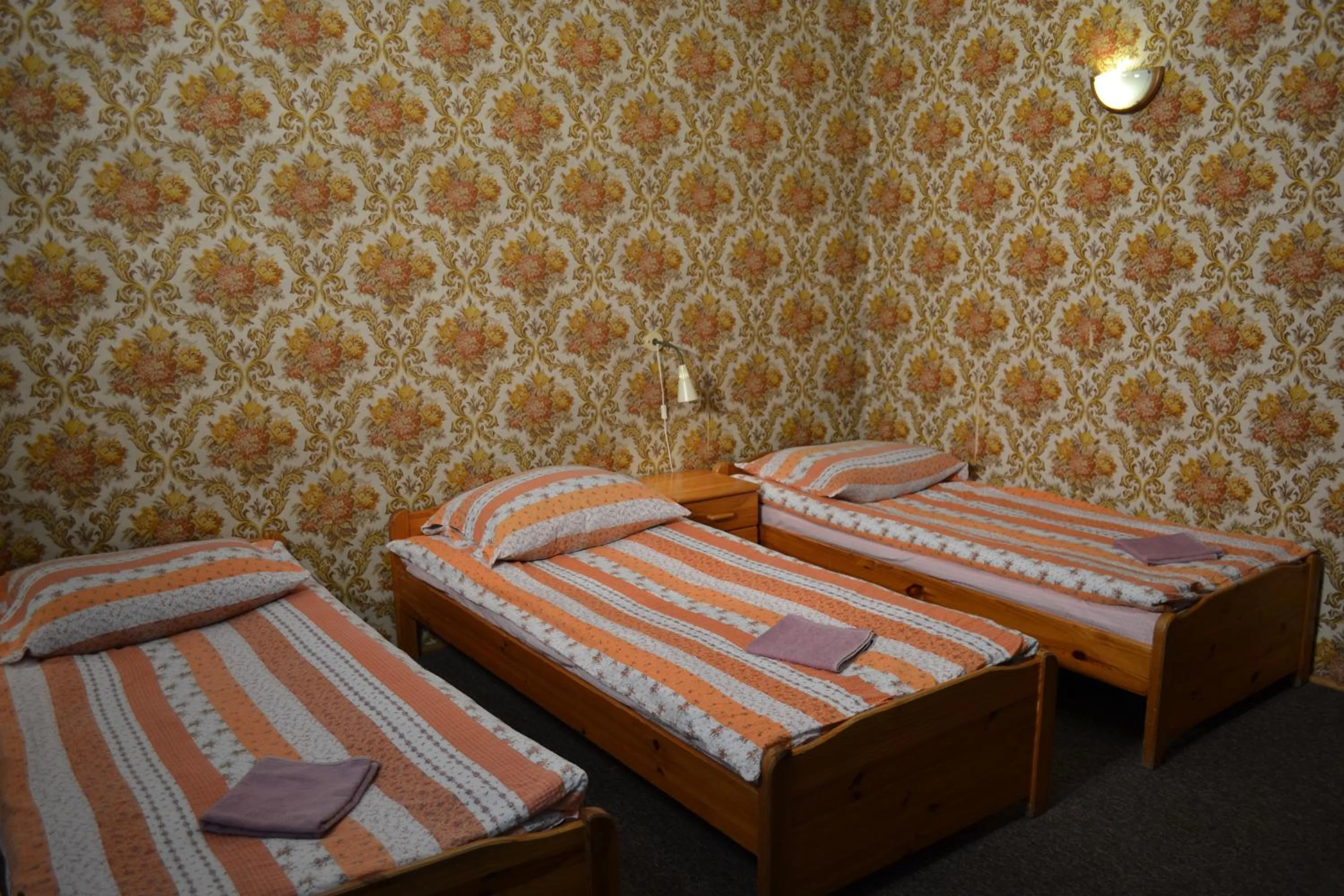 Photo of the whole room, Bed in Zajazd Irina