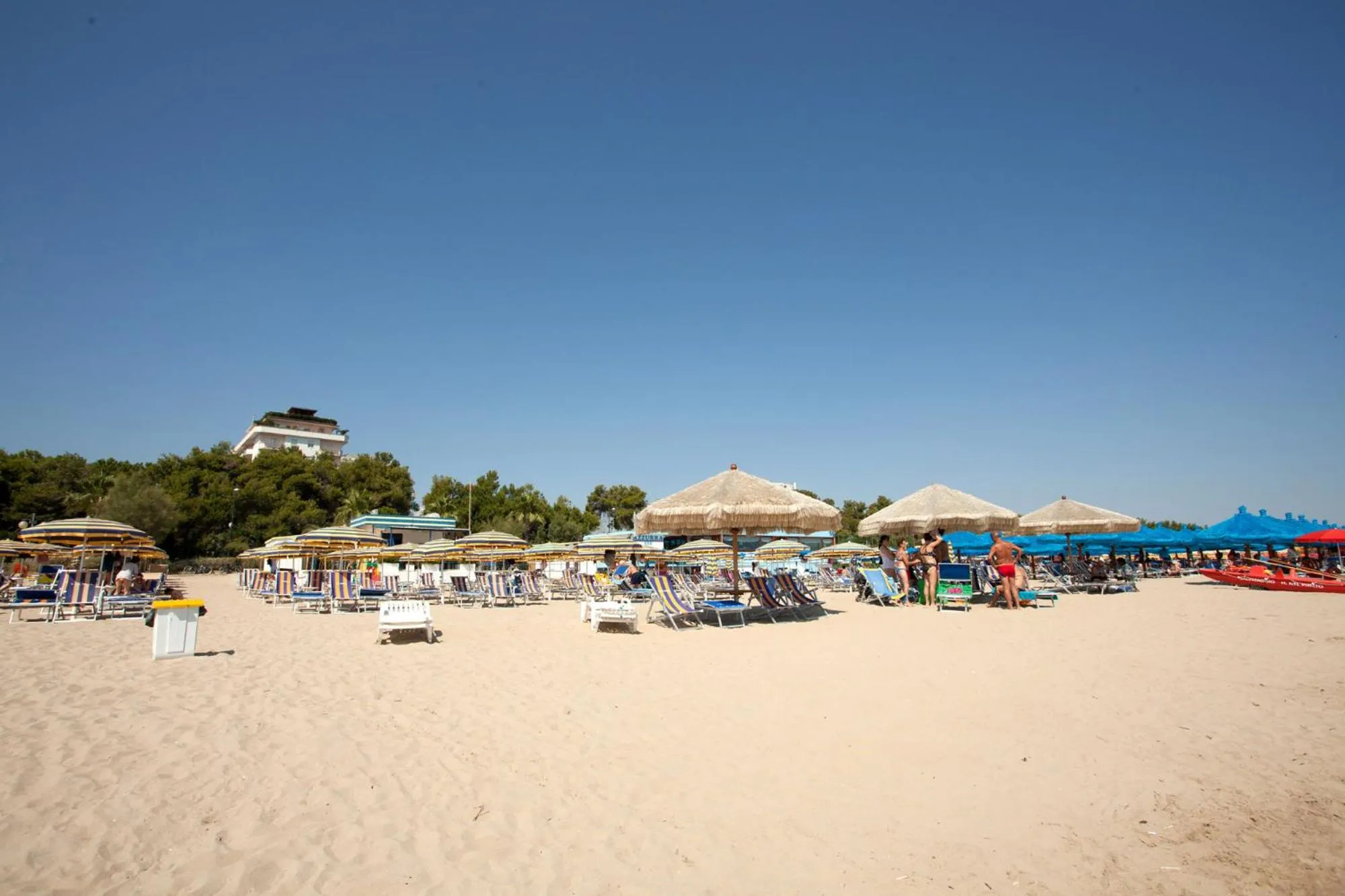 Day in Hotel Nel Pineto