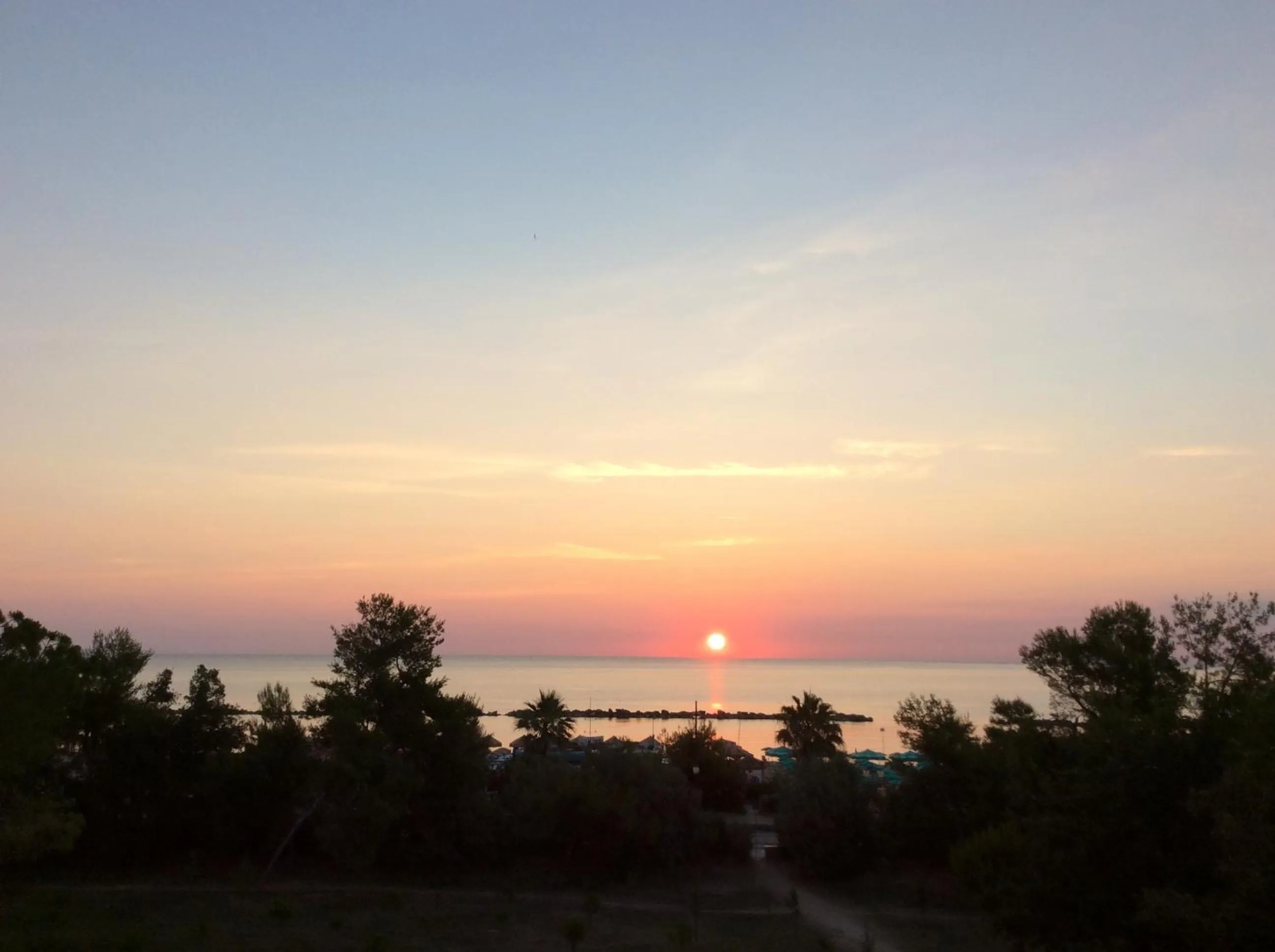 Natural landscape in Hotel Nel Pineto