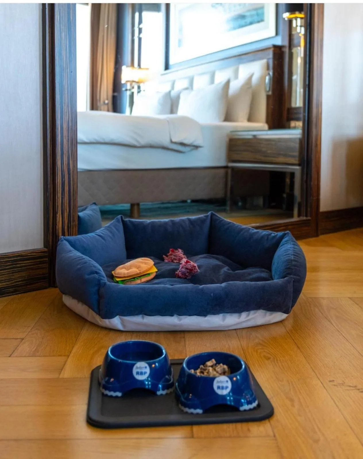 pet friendly, Bed in Radisson Blu Hotel Istanbul Pera