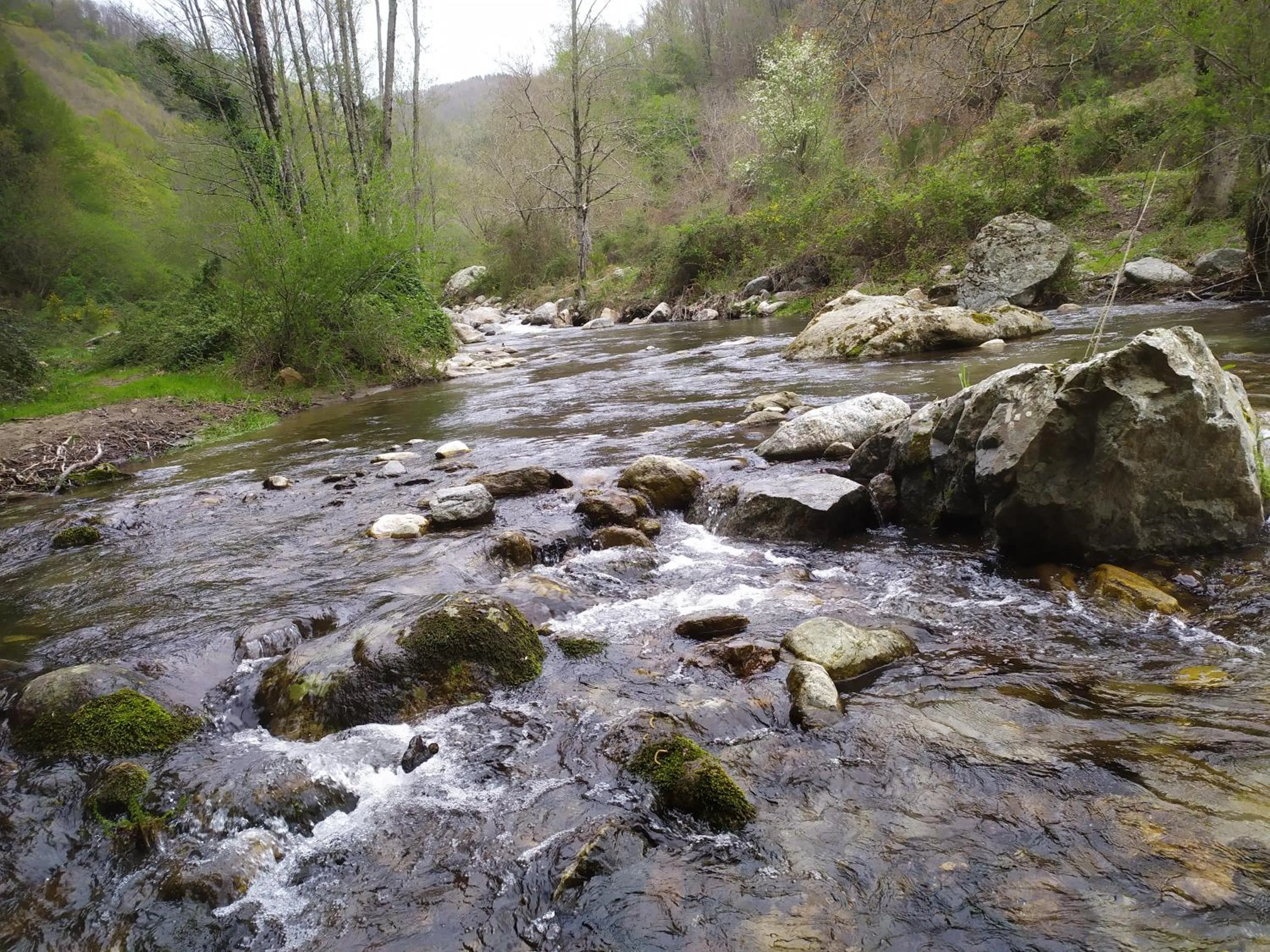 Natural landscape in B&B Francesca