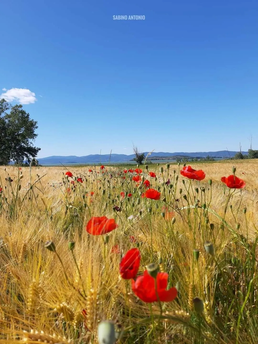 Casale Mille e una Notte