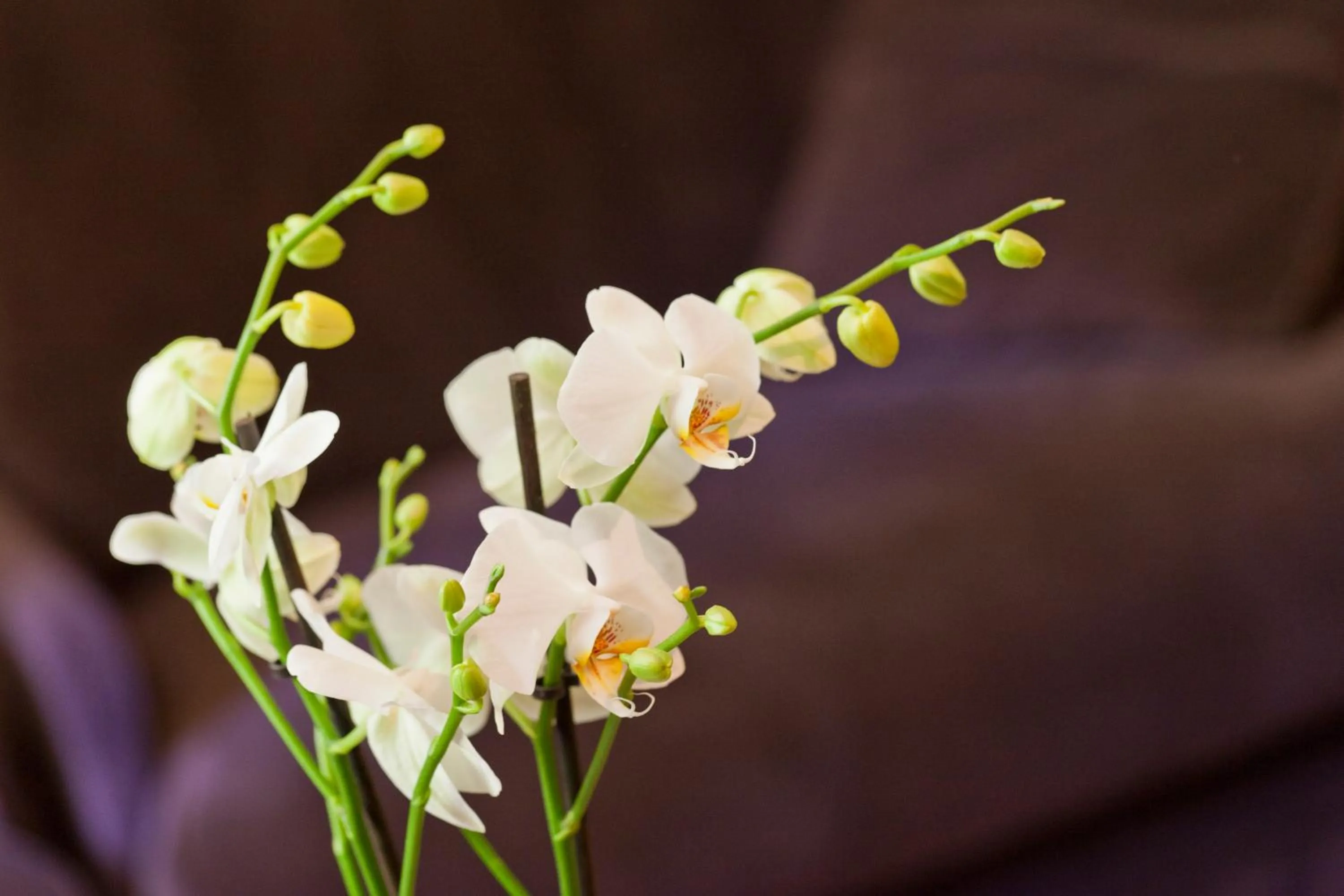 Decorative detail in Castel Damandre - Demeures & Châteaux