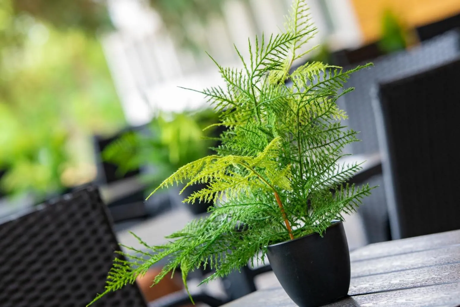 Lobby or reception in Zsóry Liget Camping & Resort