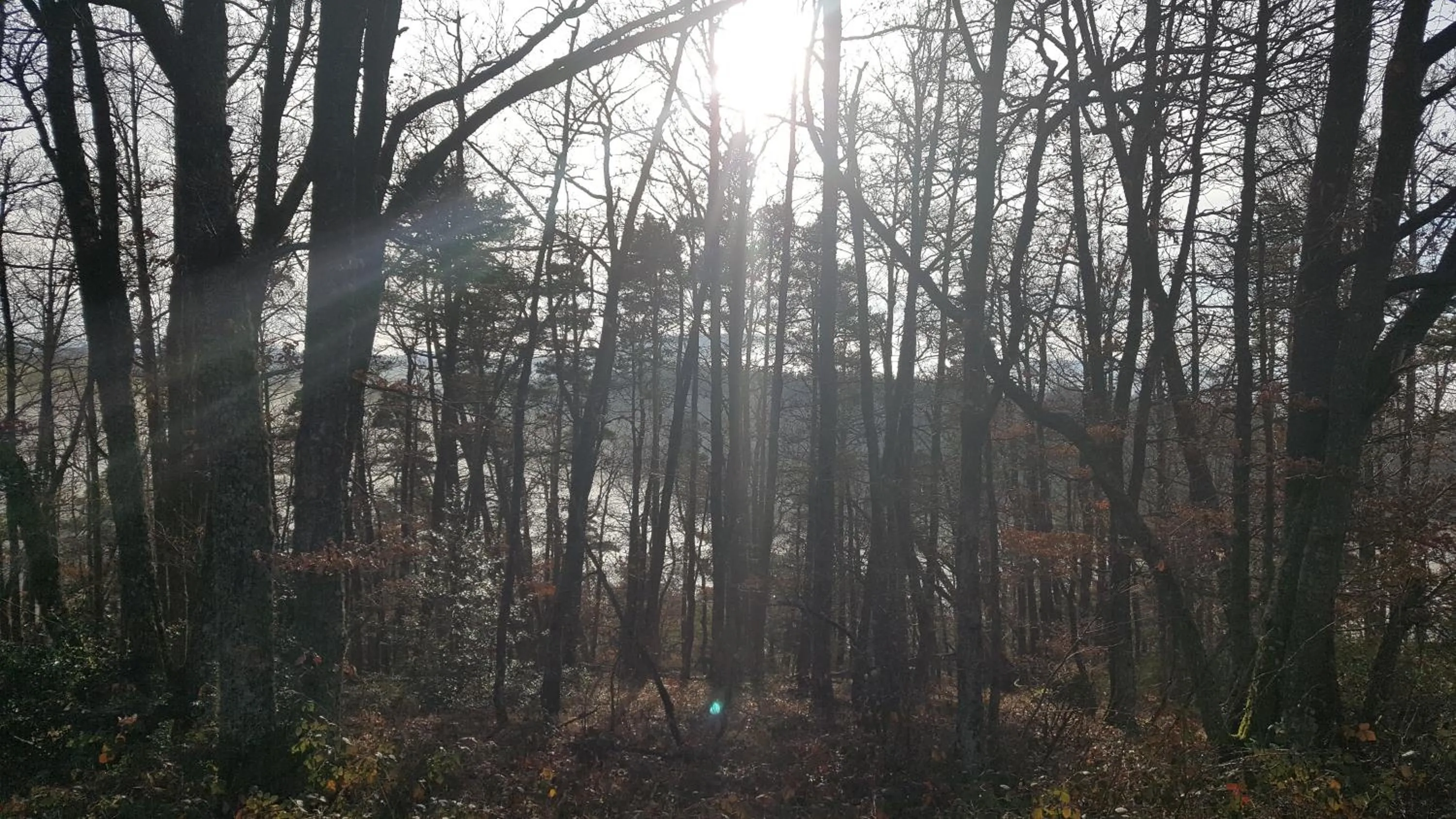 Natural landscape in The Originals Access, Hôtel Saint-Flour