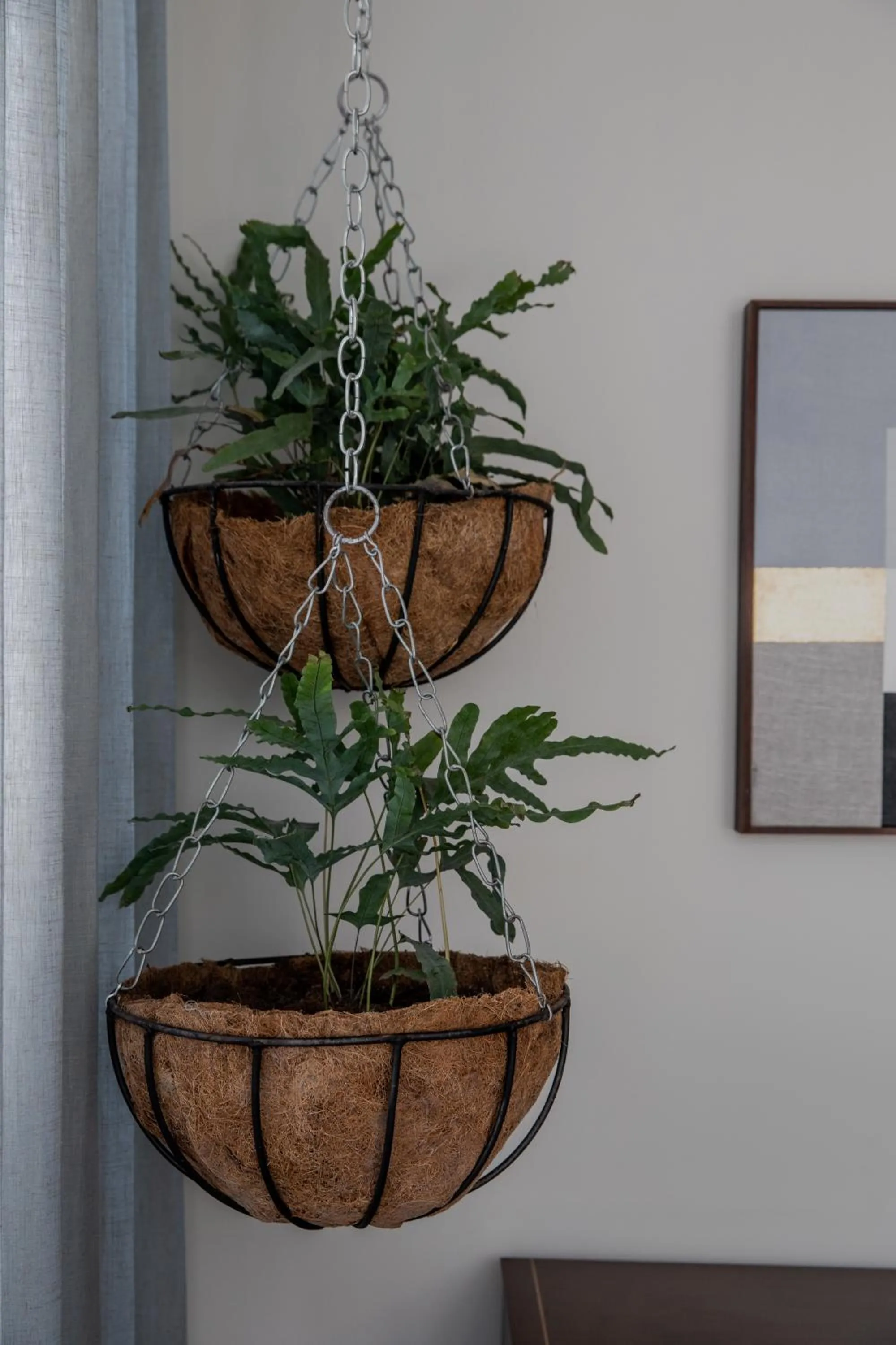 Casa Ixaya by Barrio México