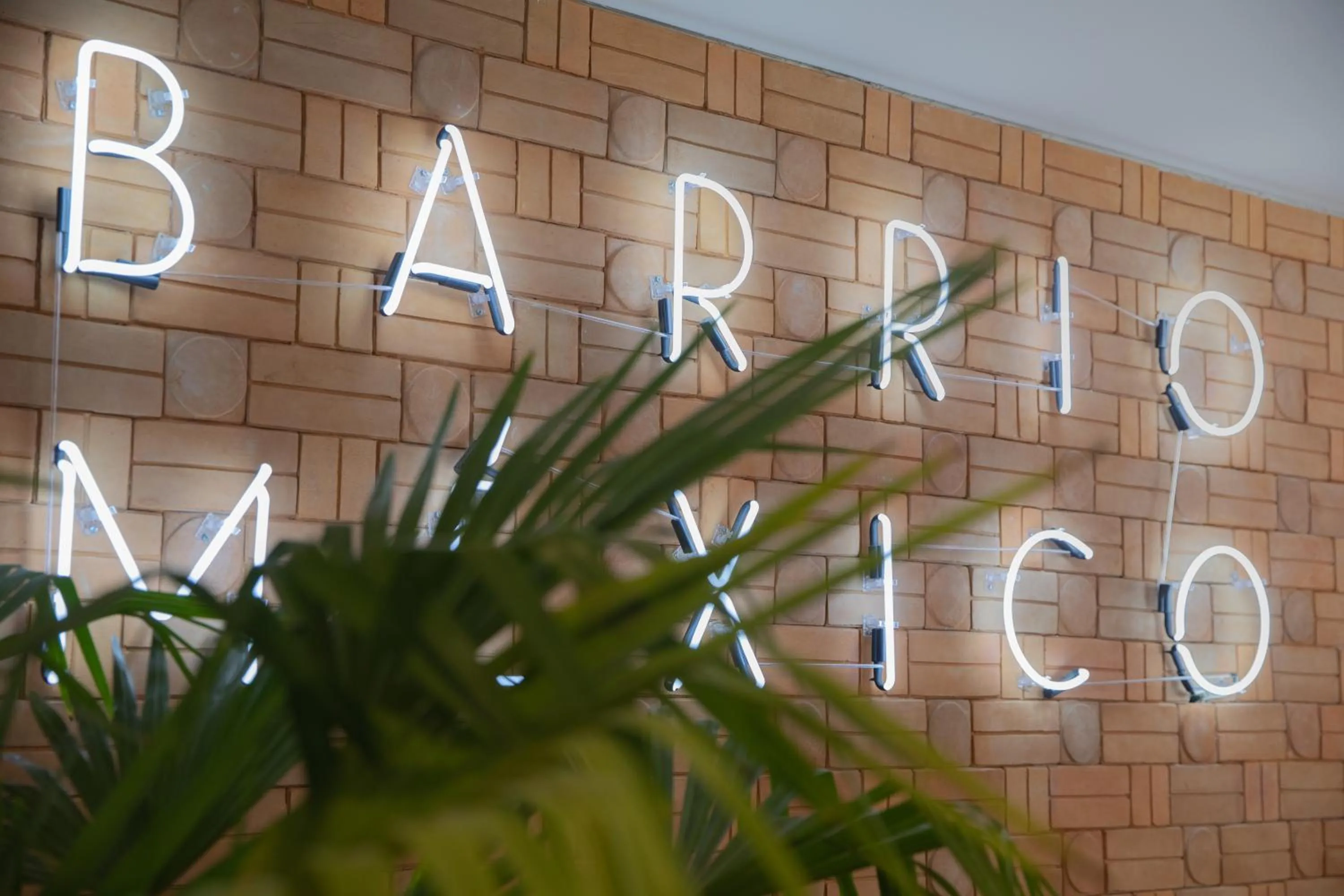 Casa Ixaya by Barrio México