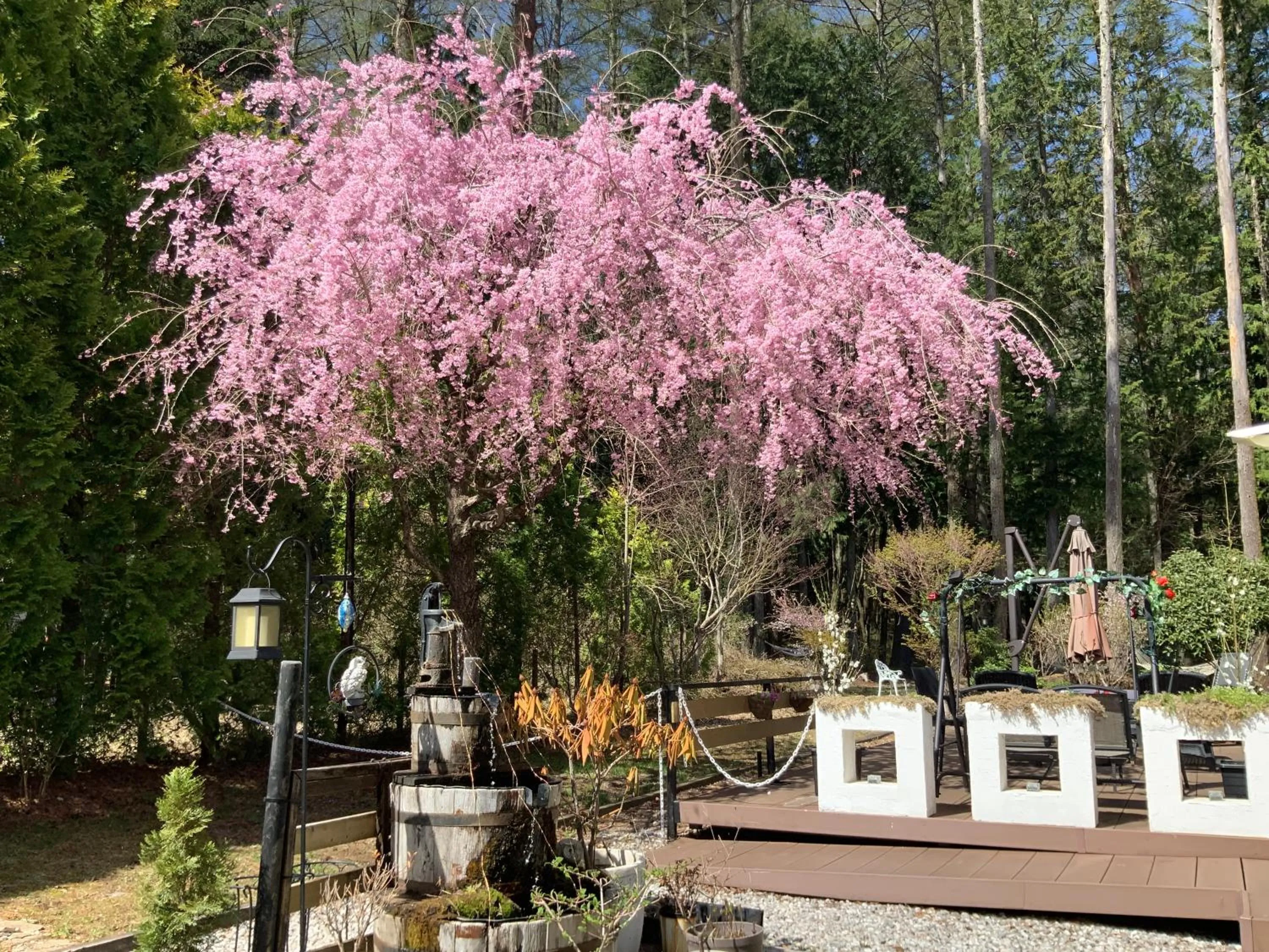 Kakureyado Fujikawaguchiko