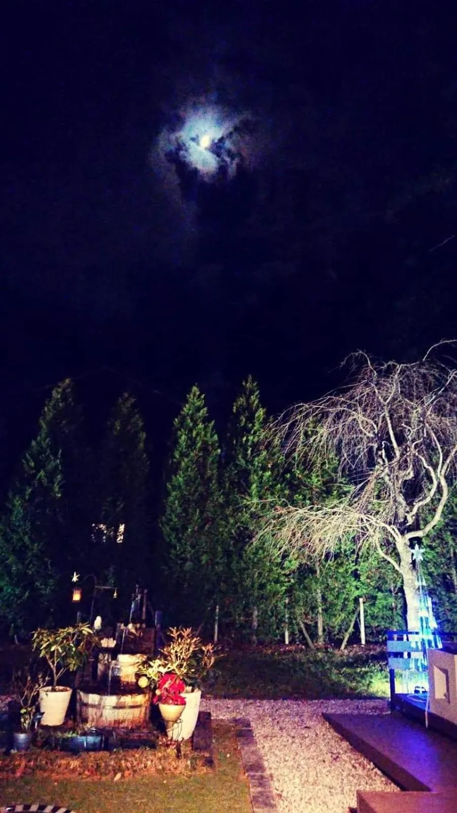 Kakureyado Fujikawaguchiko