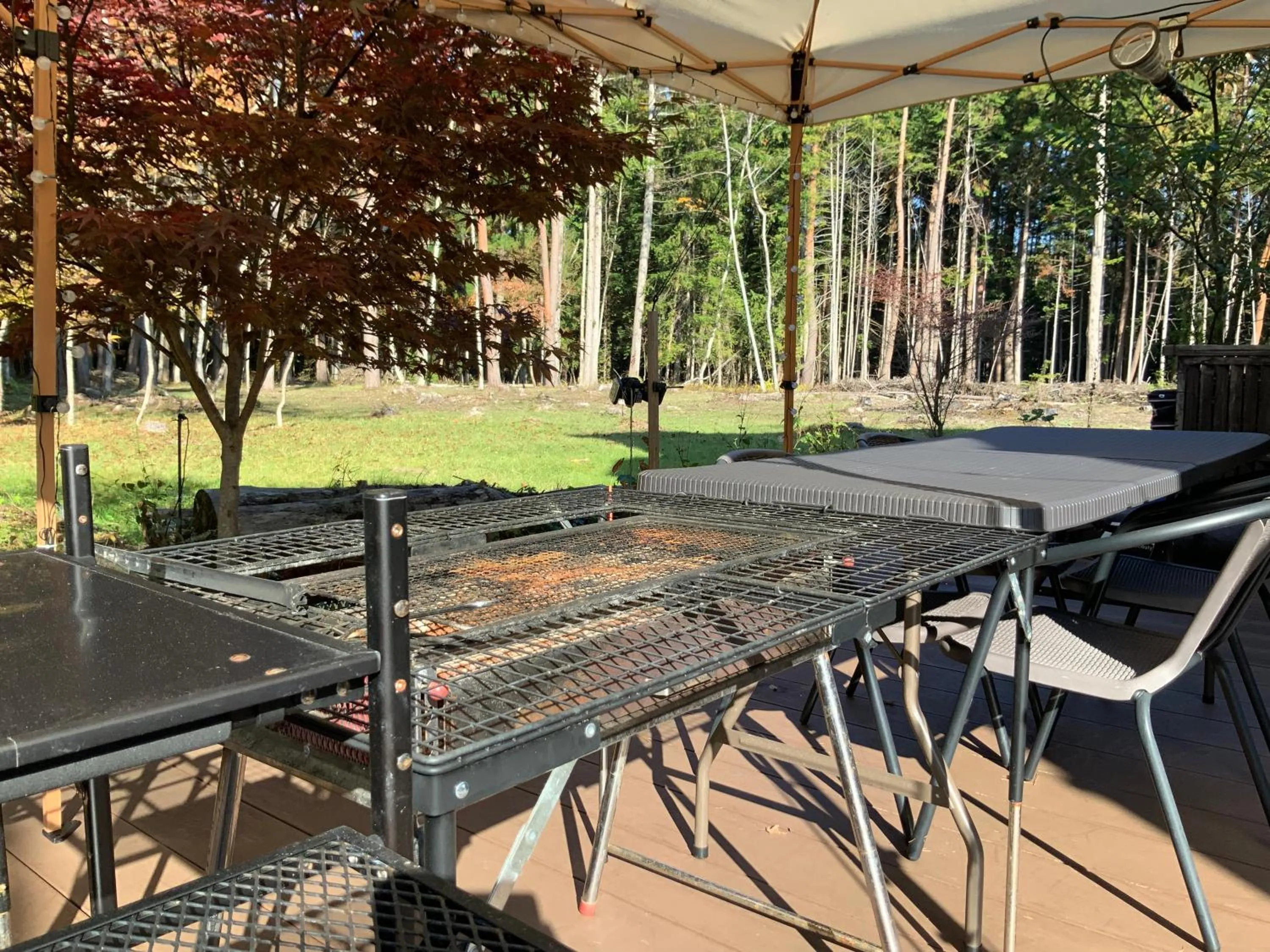 Garden view in Kakureyado Fujikawaguchiko