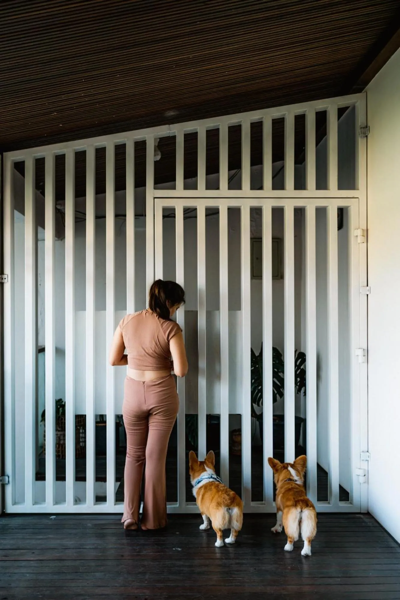 Pets in Pelangi 148 Beach Suites