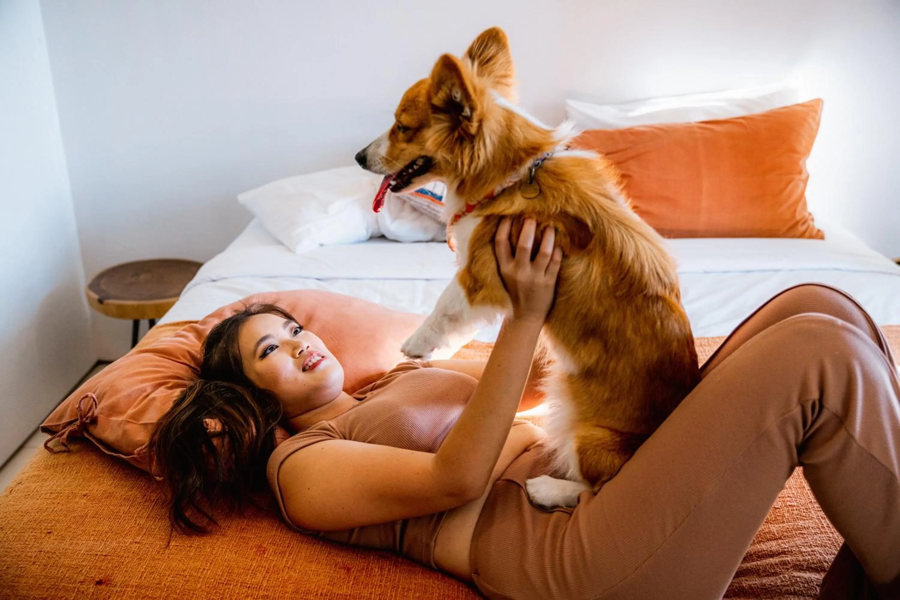 Pets, Bed in Pelangi 148 Beach Suites