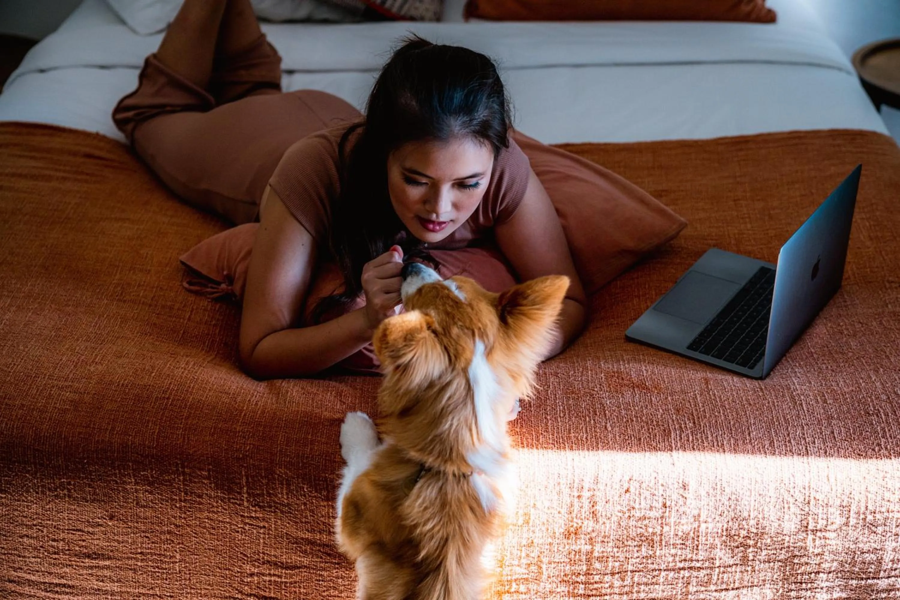 Pets in Pelangi 148 Beach Suites