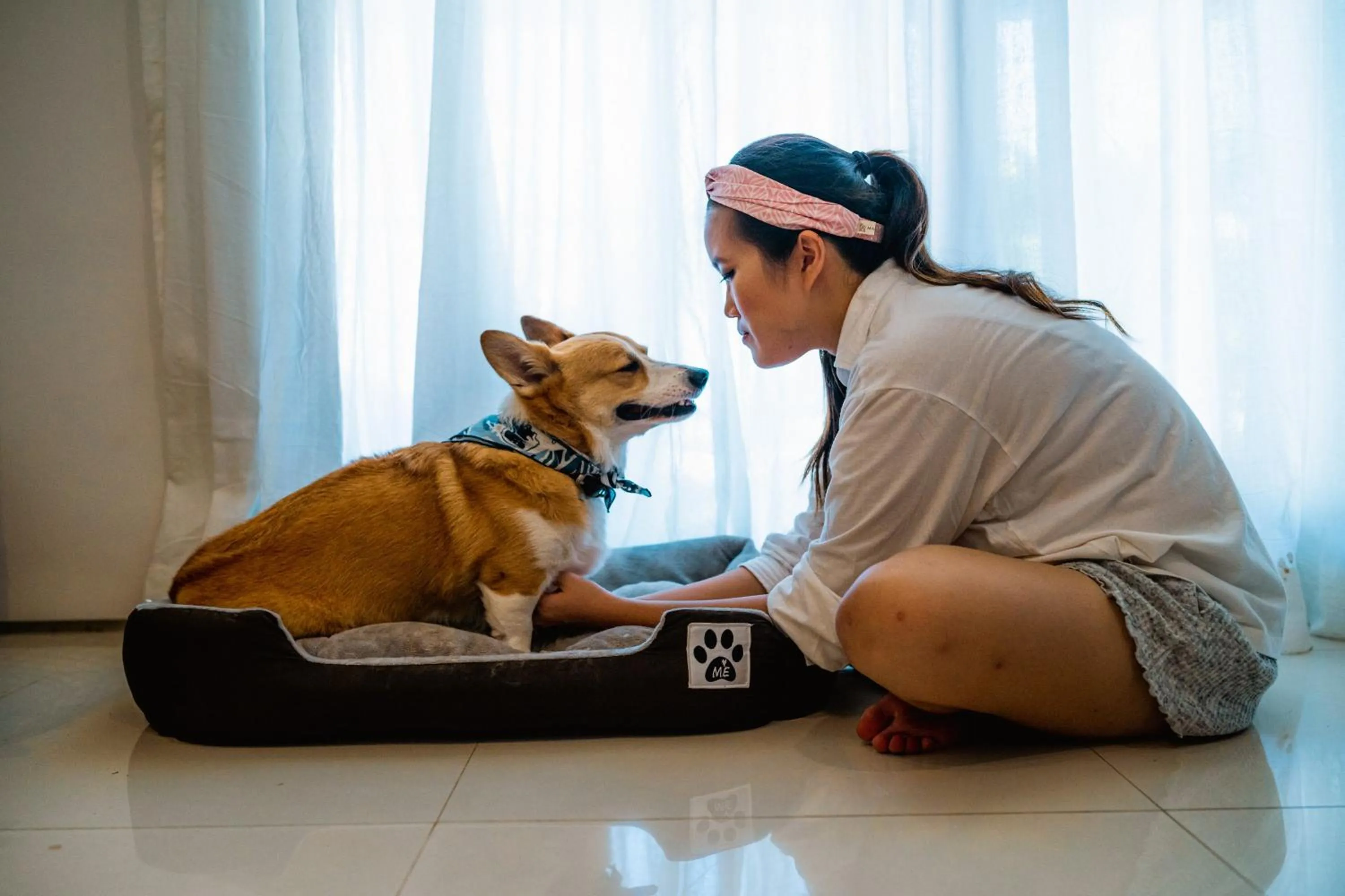 Pets in Pelangi 148 Beach Suites