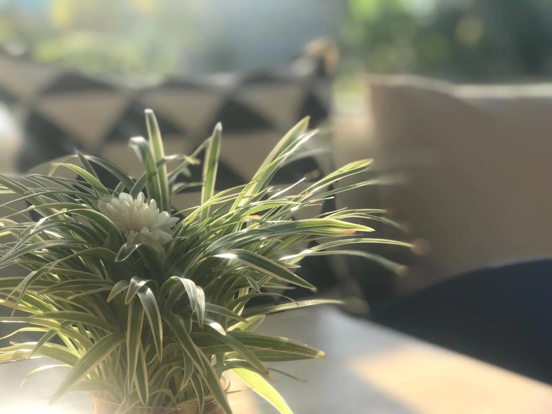 Breakfast in Aonang Eco Villa - SHA Extra Plus